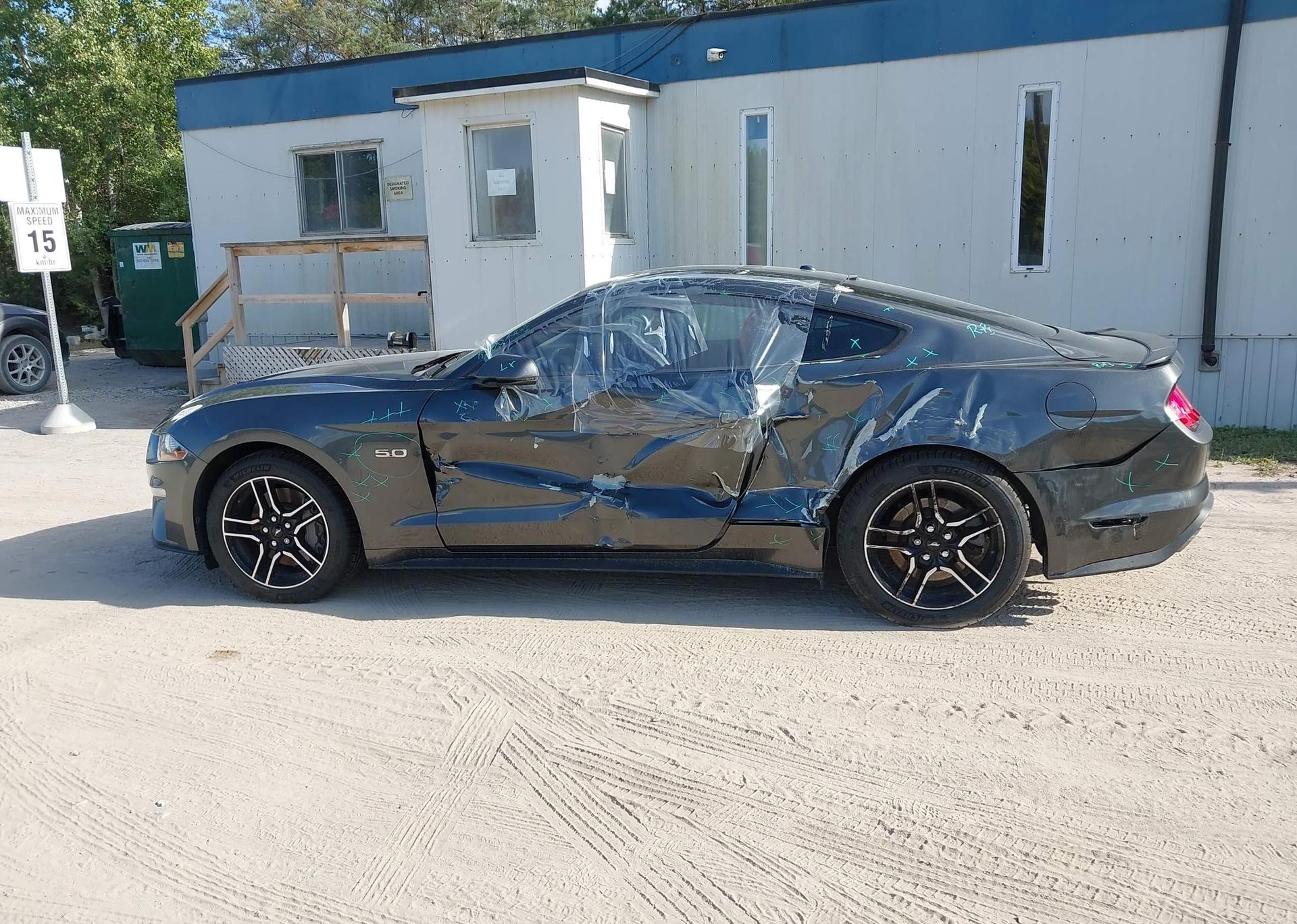 2019 FORD MUSTANG GT