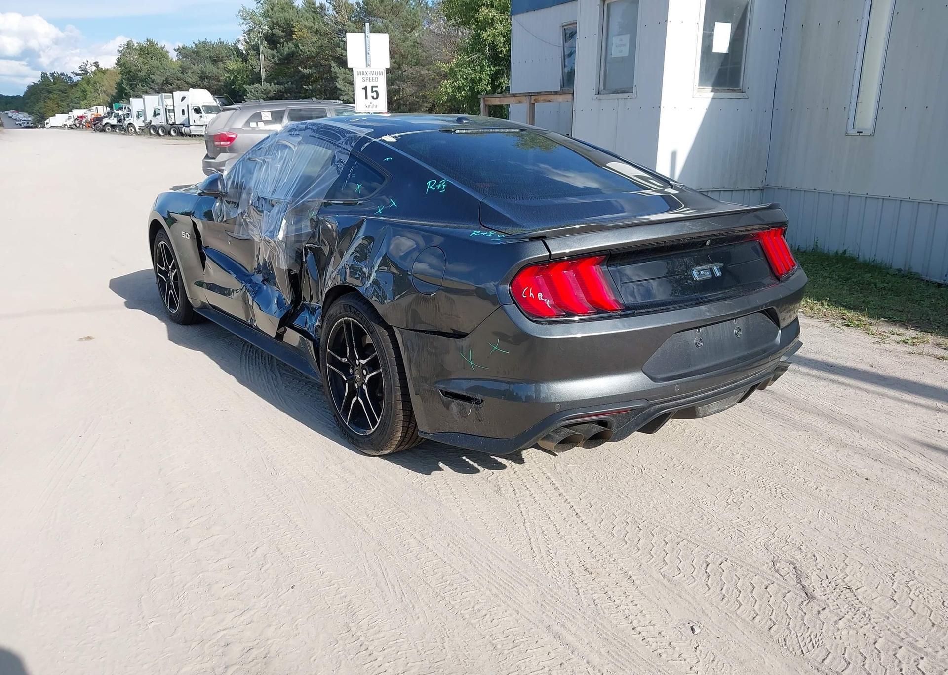 2019 FORD MUSTANG GT