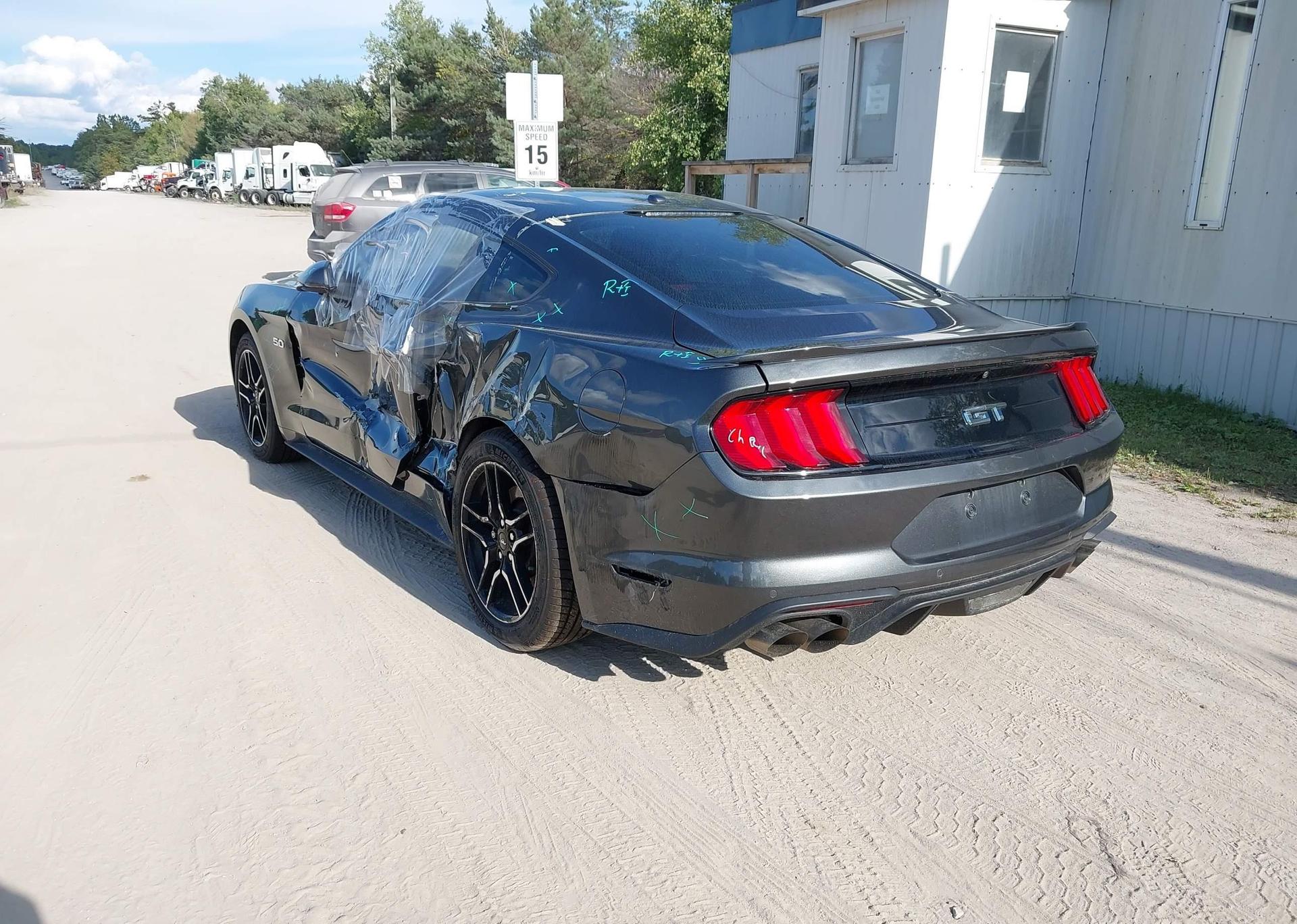 2019 FORD MUSTANG GT