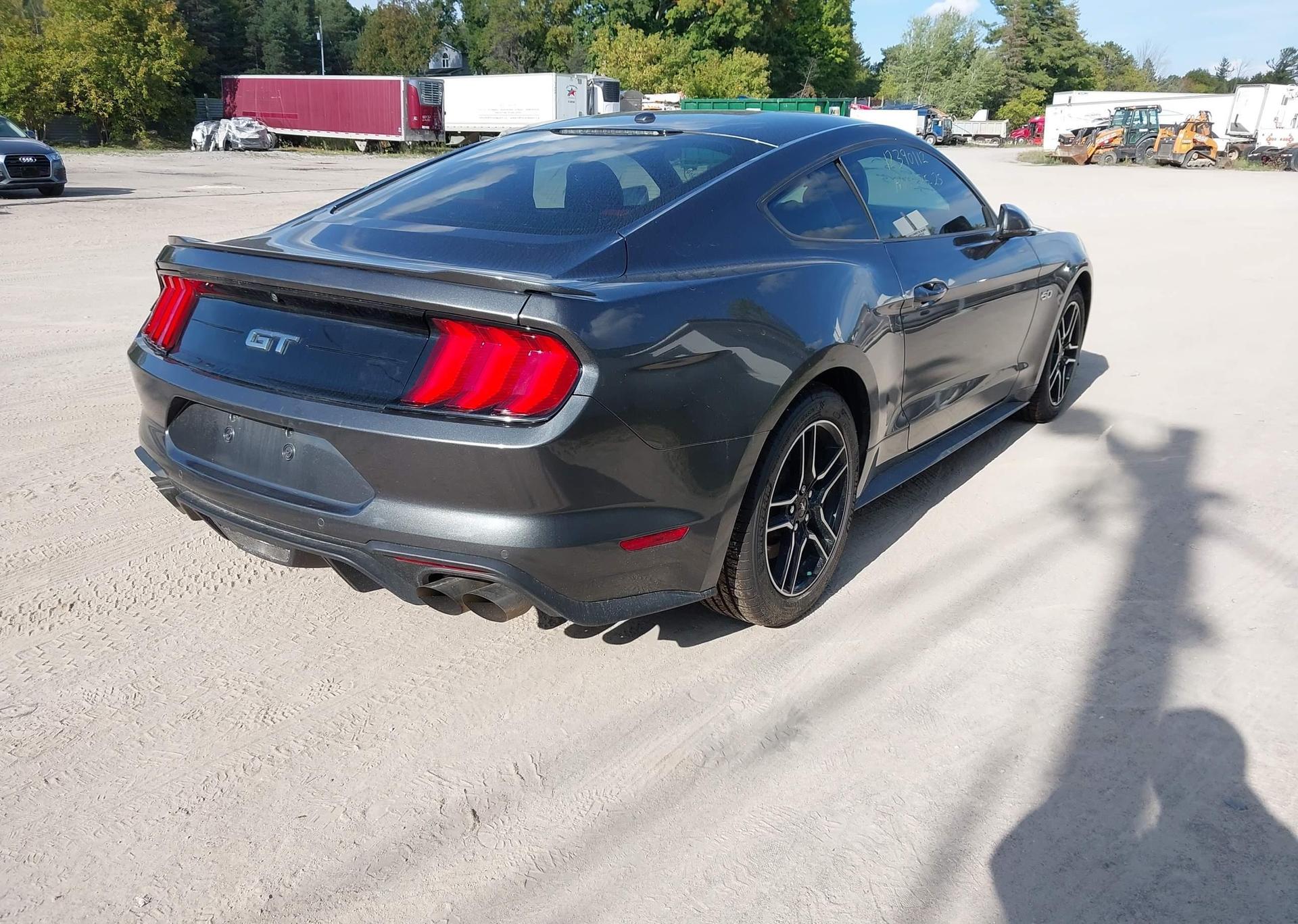 2019 FORD MUSTANG GT