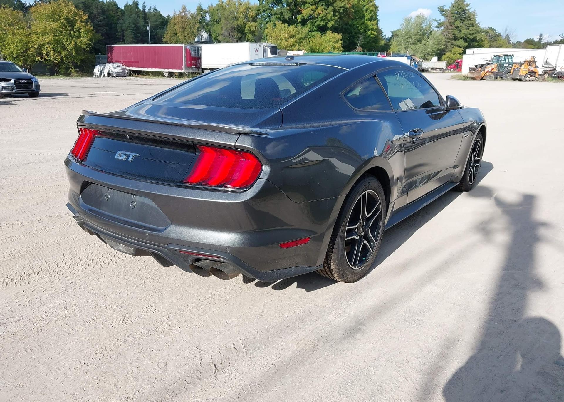 2019 FORD MUSTANG GT