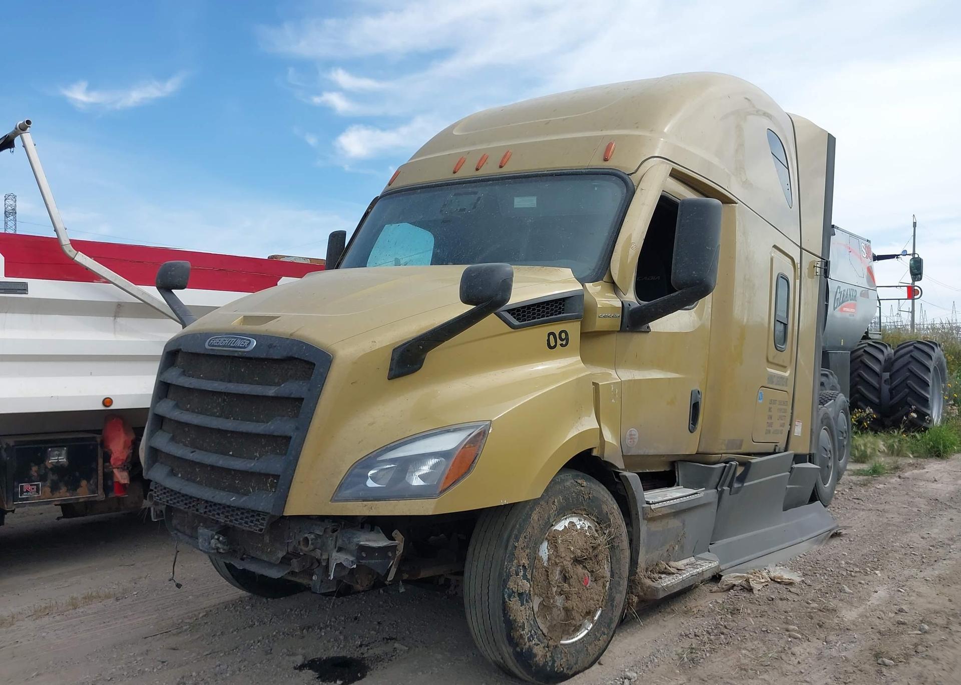 2020 FREIGHTLINER CASCADIA 116
