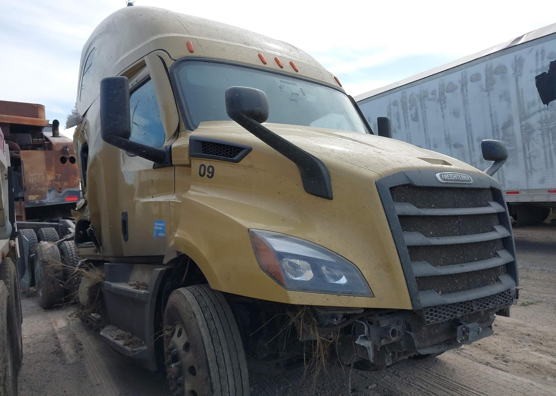 2020 FREIGHTLINER CASCADIA 116