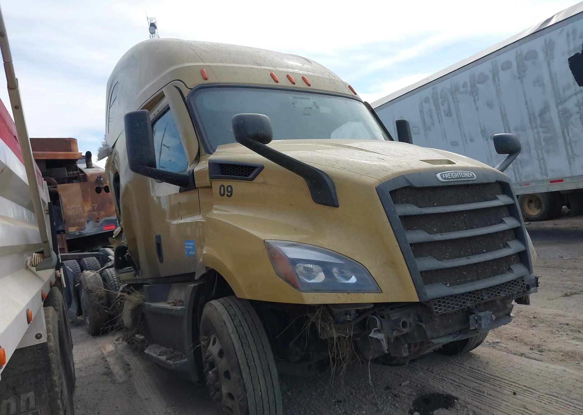 2020 FREIGHTLINER CASCADIA 116