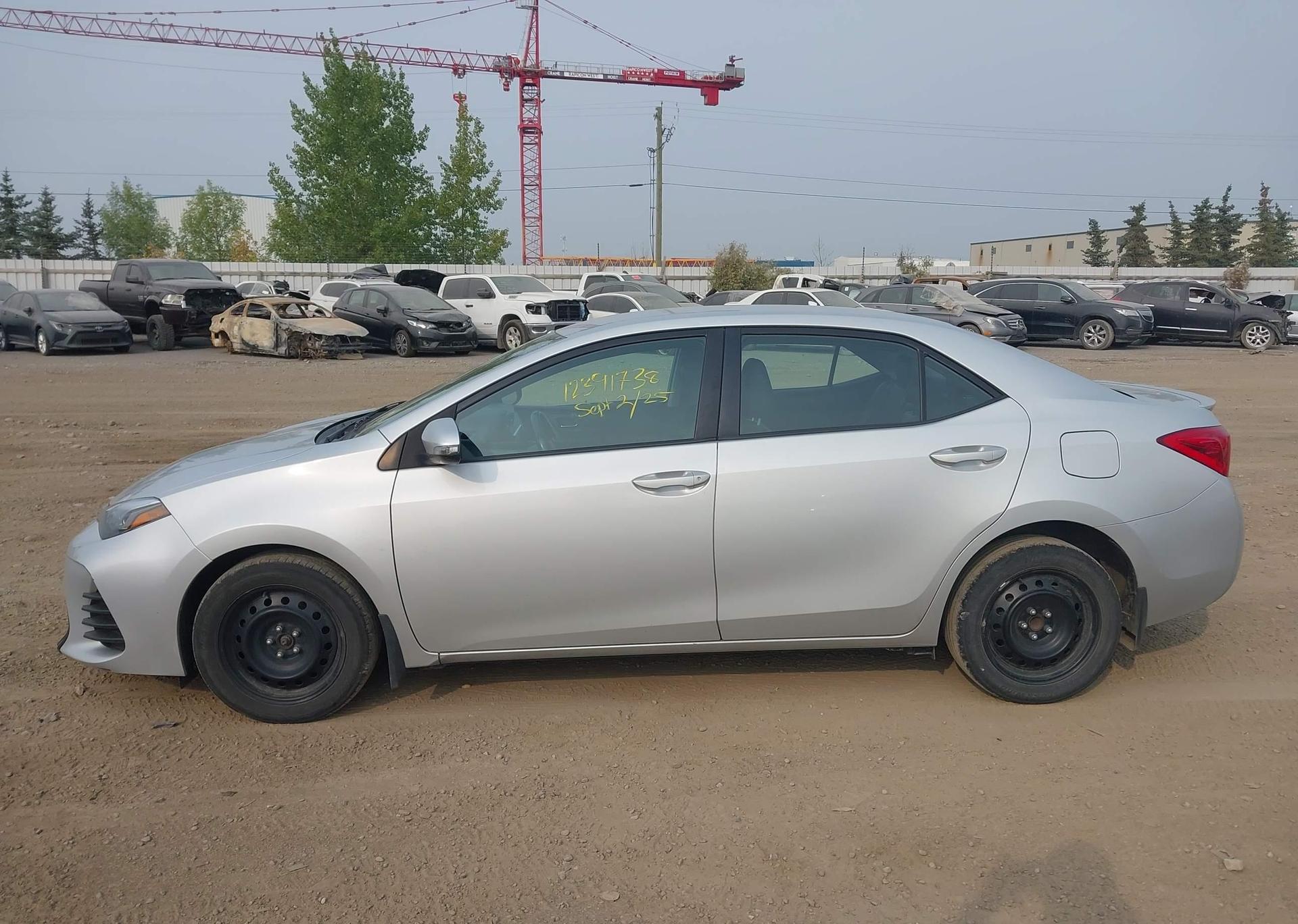 2019 TOYOTA COROLLA