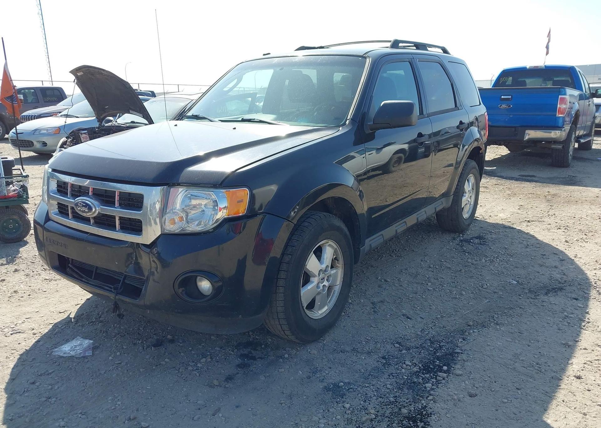 2011 FORD ESCAPE XLT