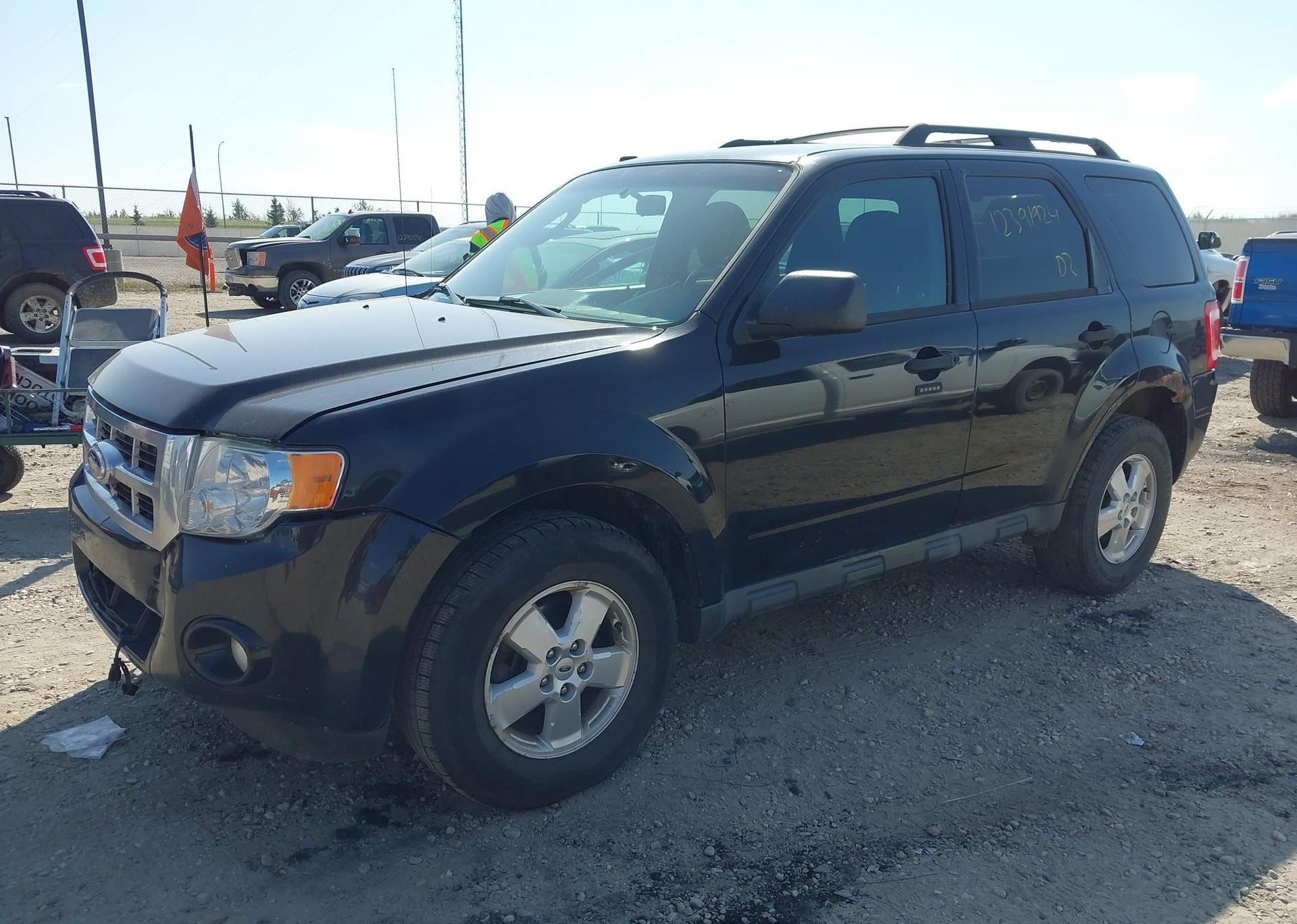 2011 FORD ESCAPE XLT