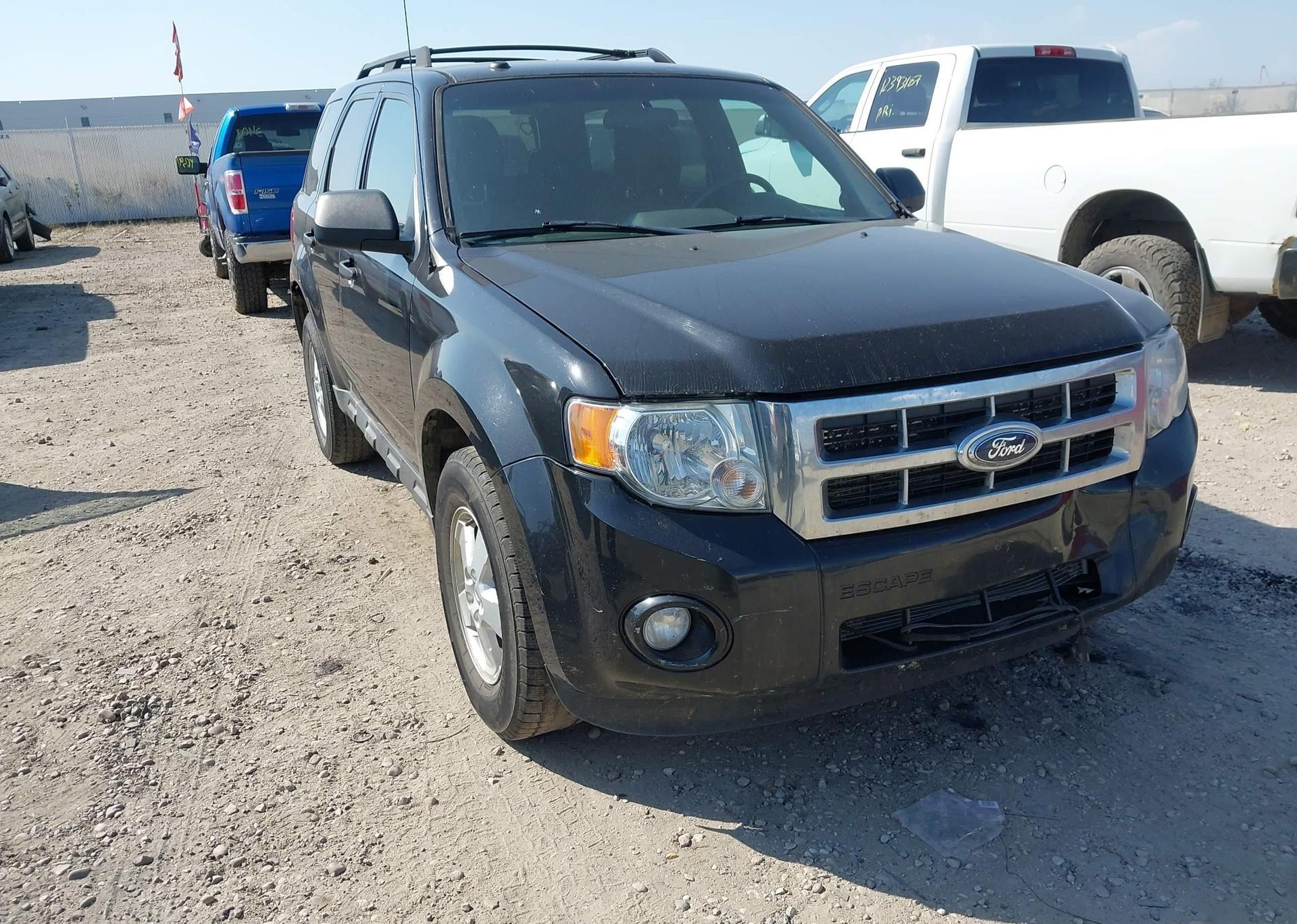 2011 FORD ESCAPE XLT