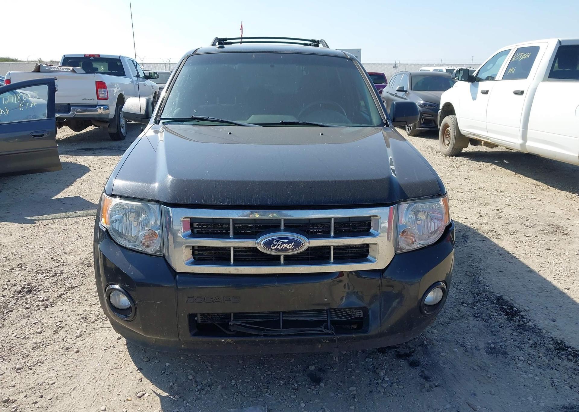 2011 FORD ESCAPE XLT