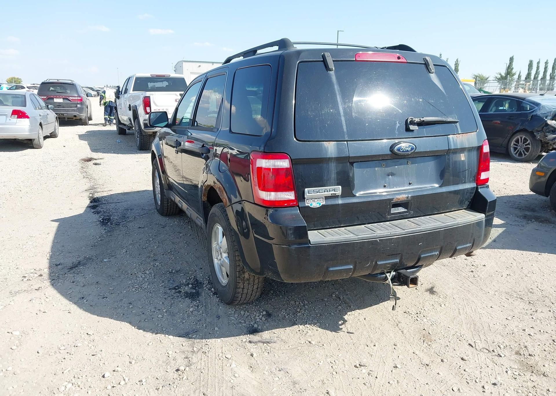 2011 FORD ESCAPE XLT