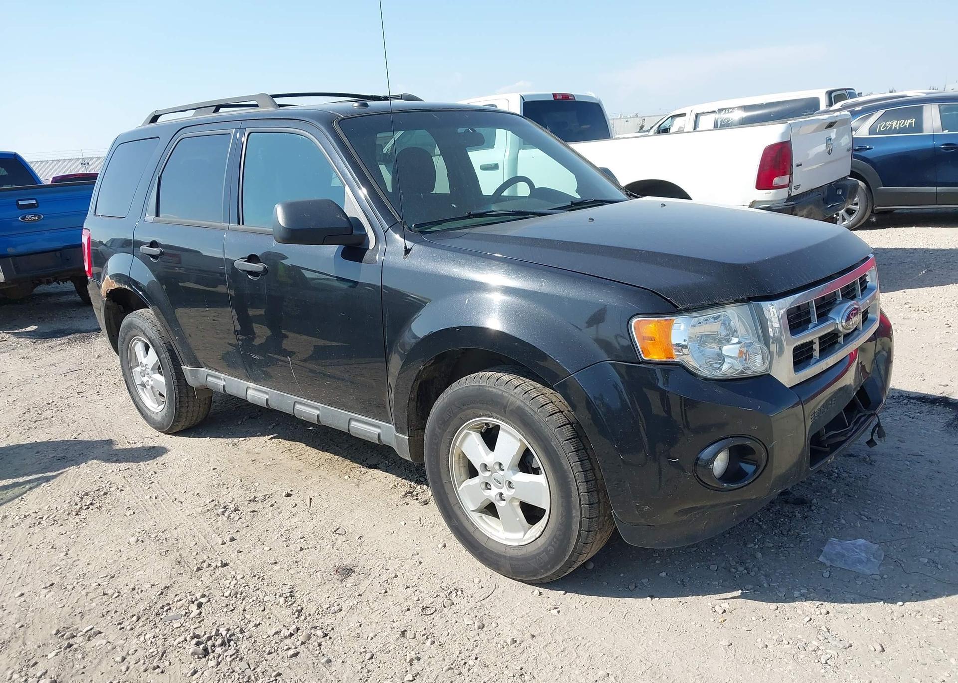 2011 FORD ESCAPE XLT