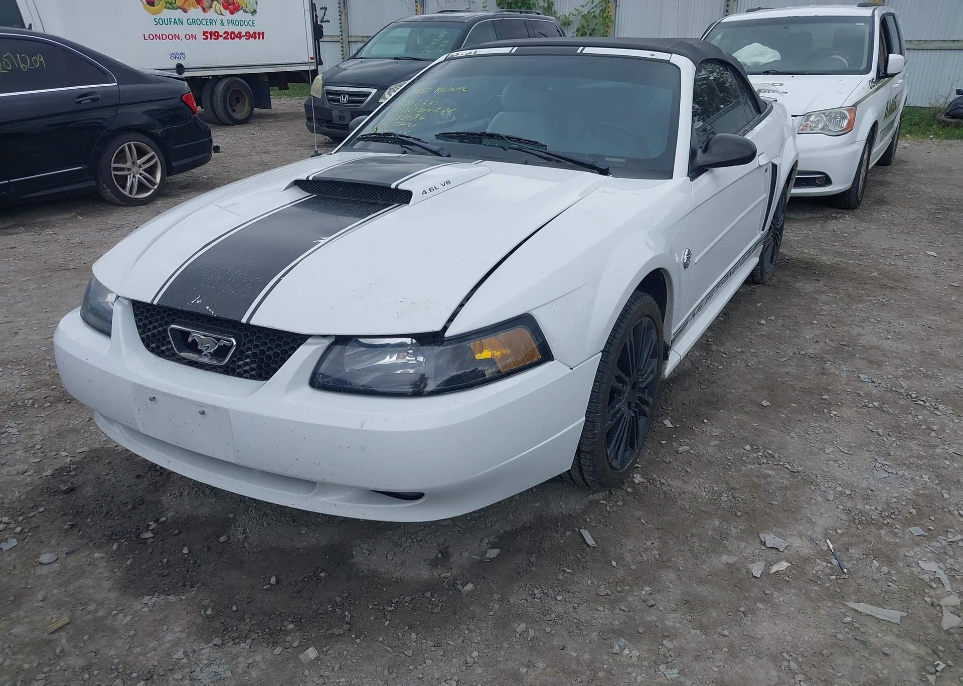 2004 FORD MUSTANG GT