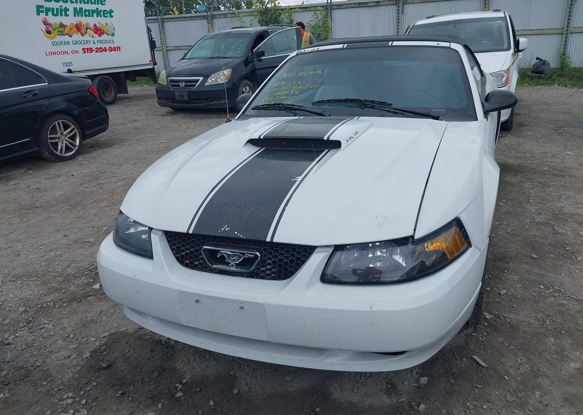 2004 FORD MUSTANG GT
