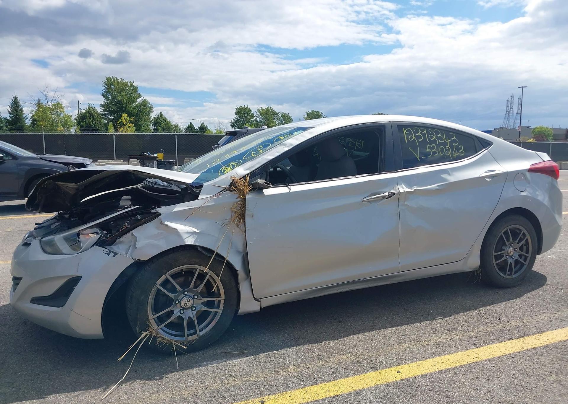 2014 HYUNDAI ELANTRA SE