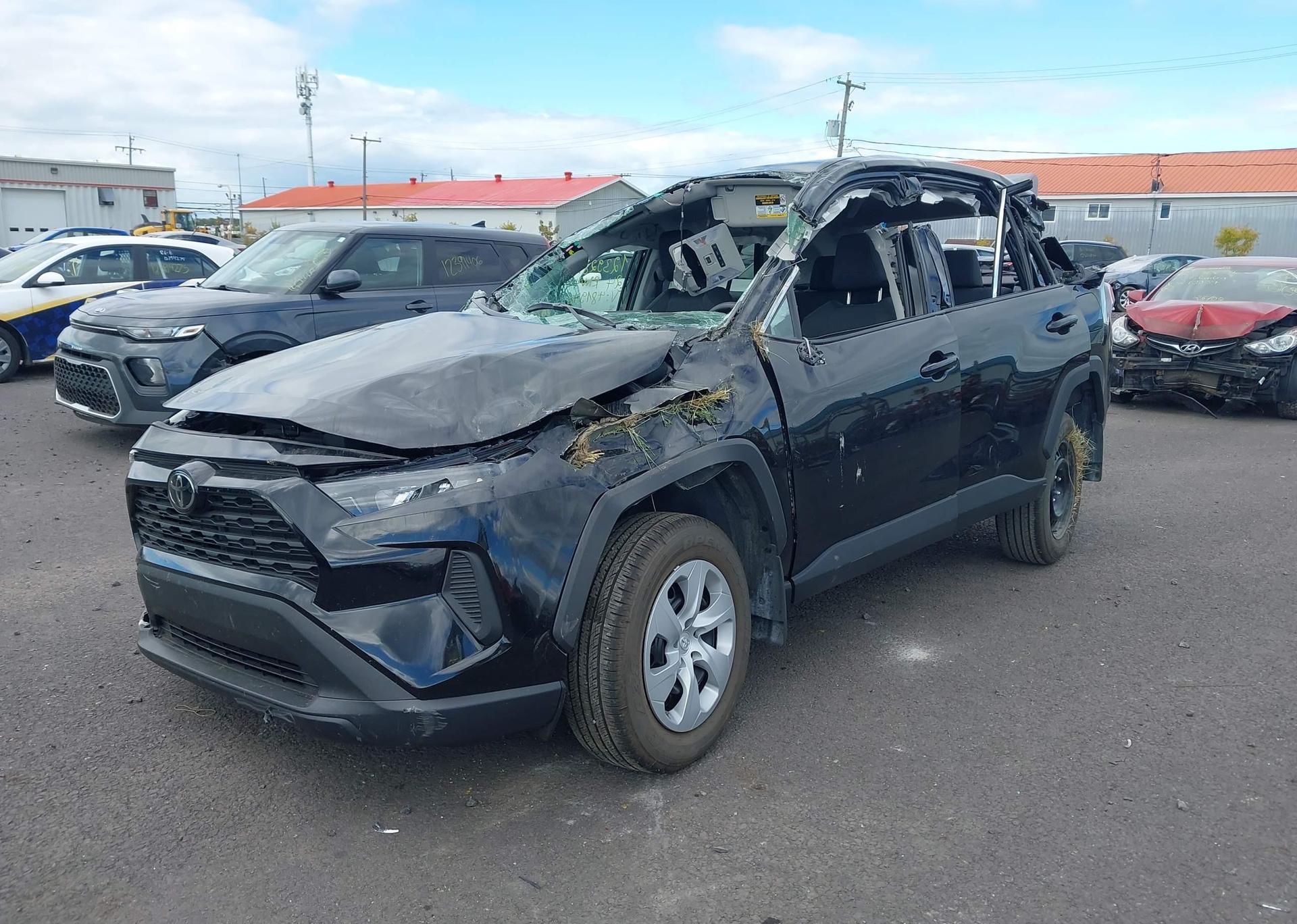 2024 TOYOTA RAV4 LE