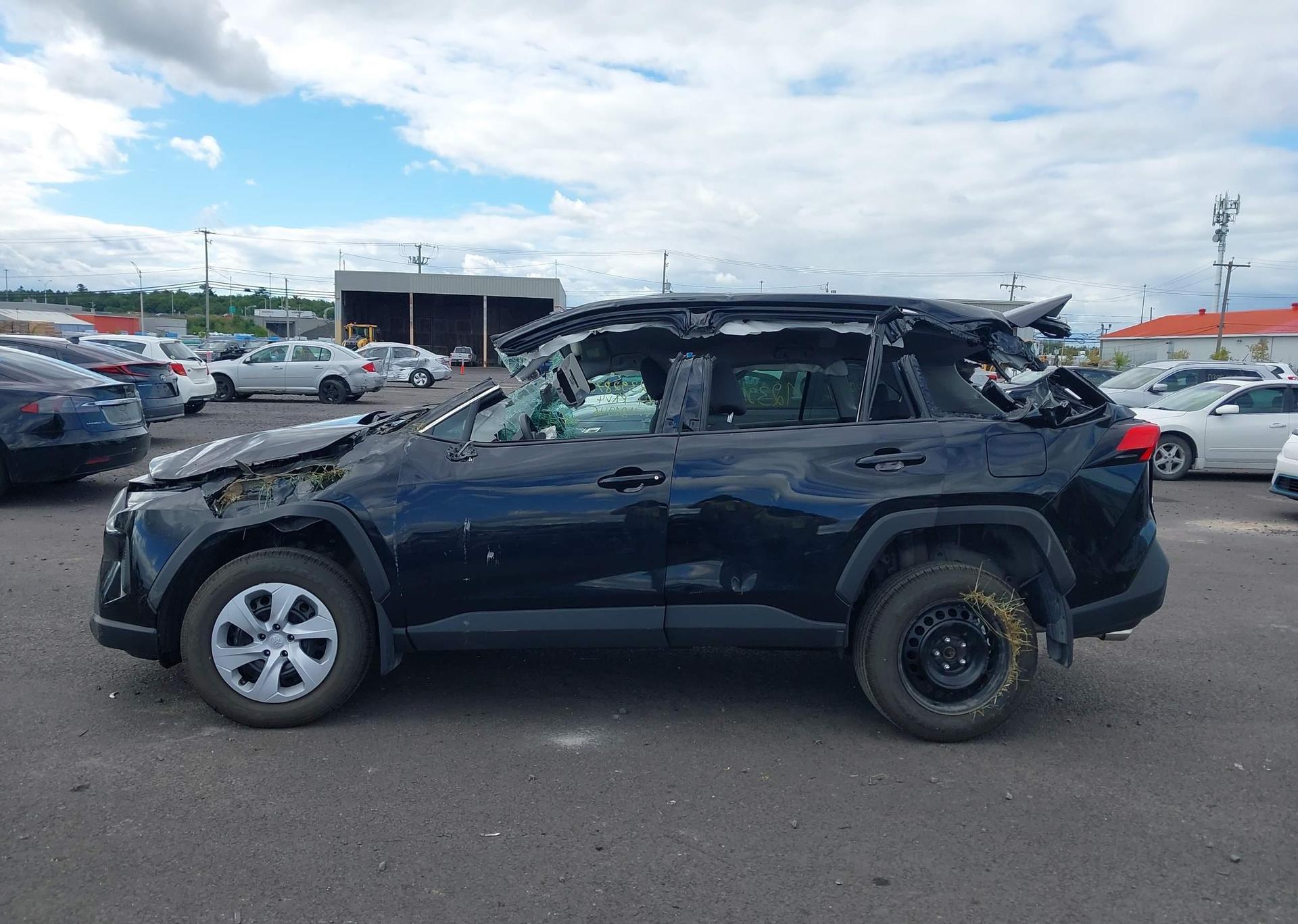 2024 TOYOTA RAV4 LE