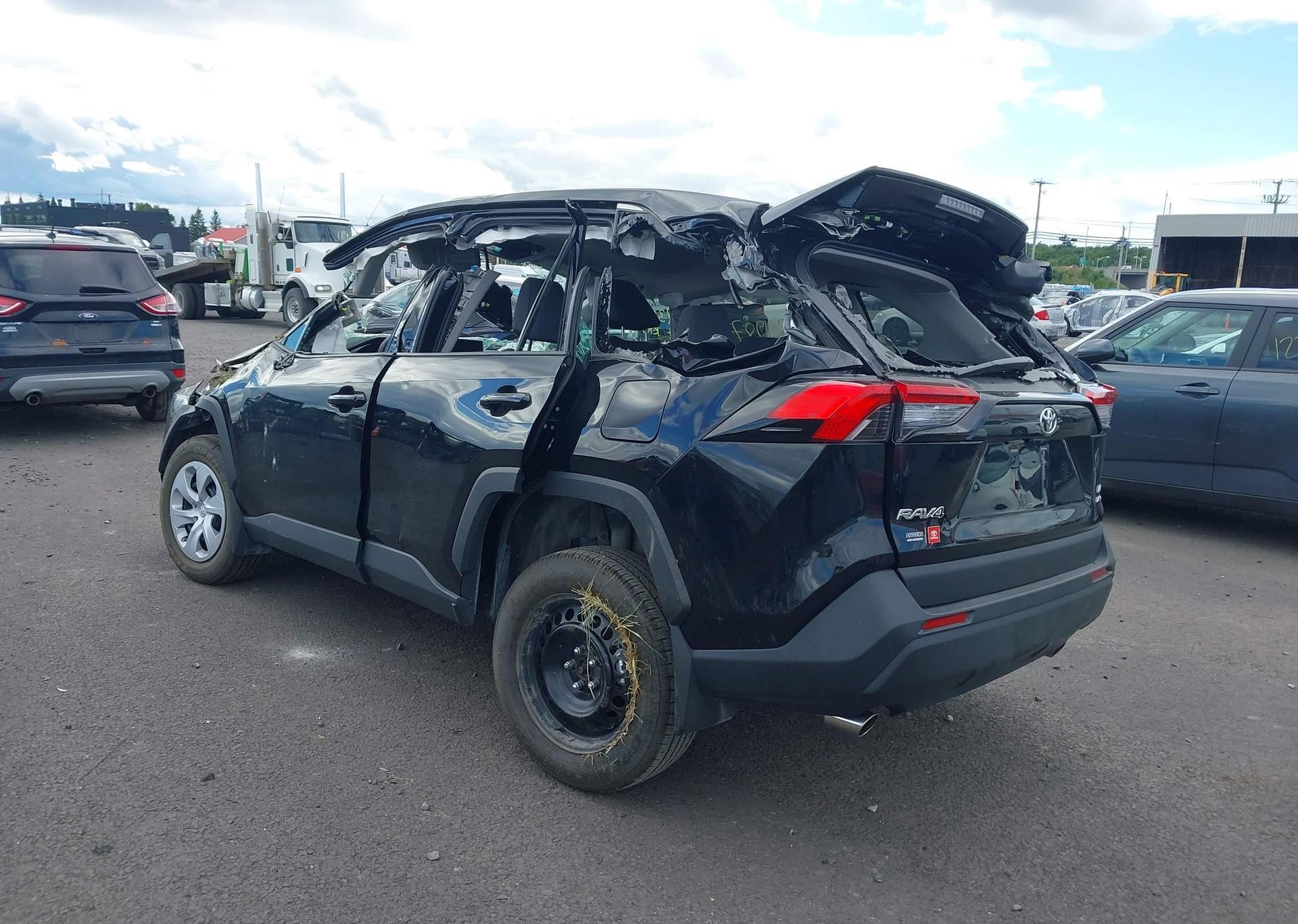 2024 TOYOTA RAV4 LE