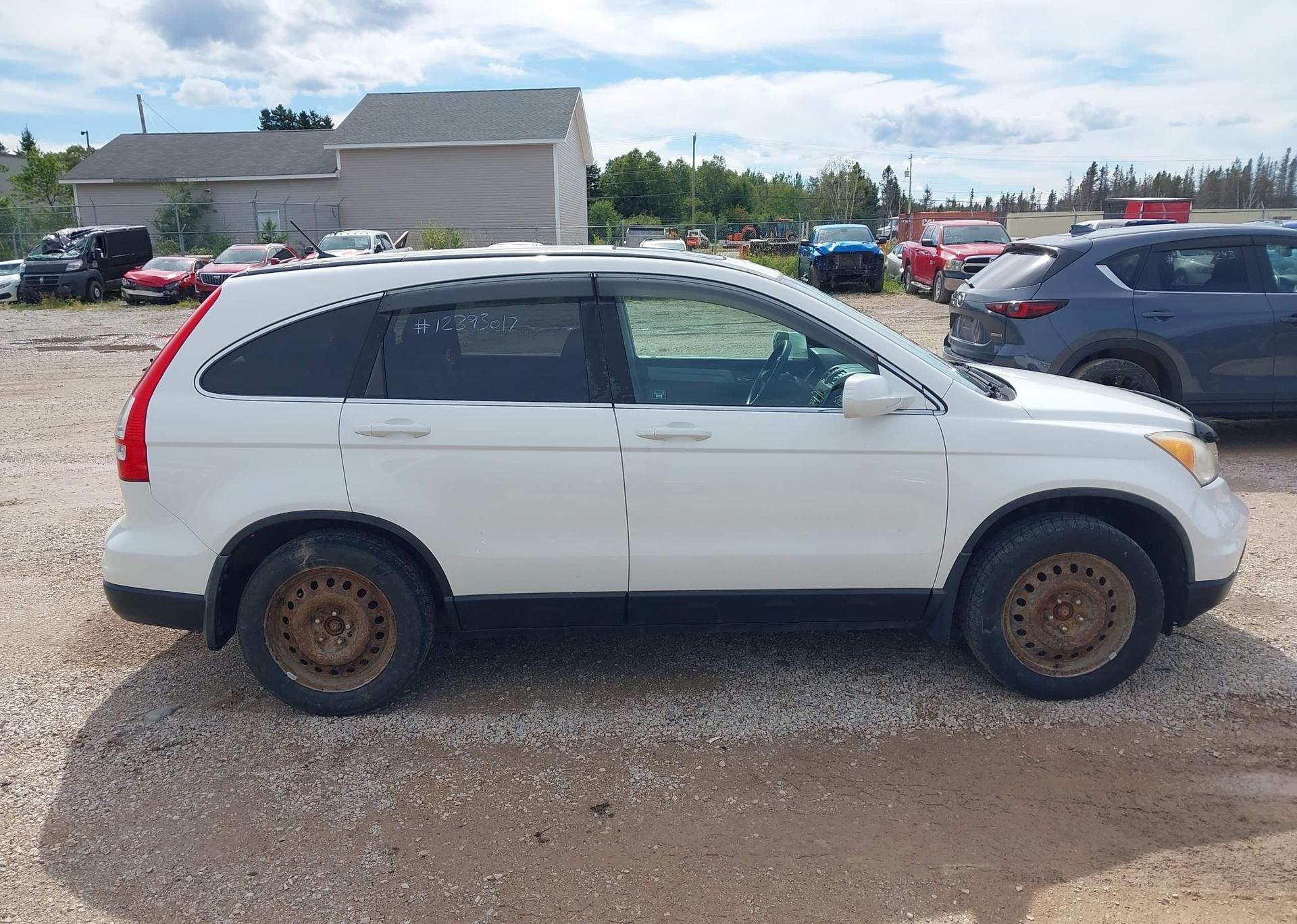 2010 HONDA CR-V EX