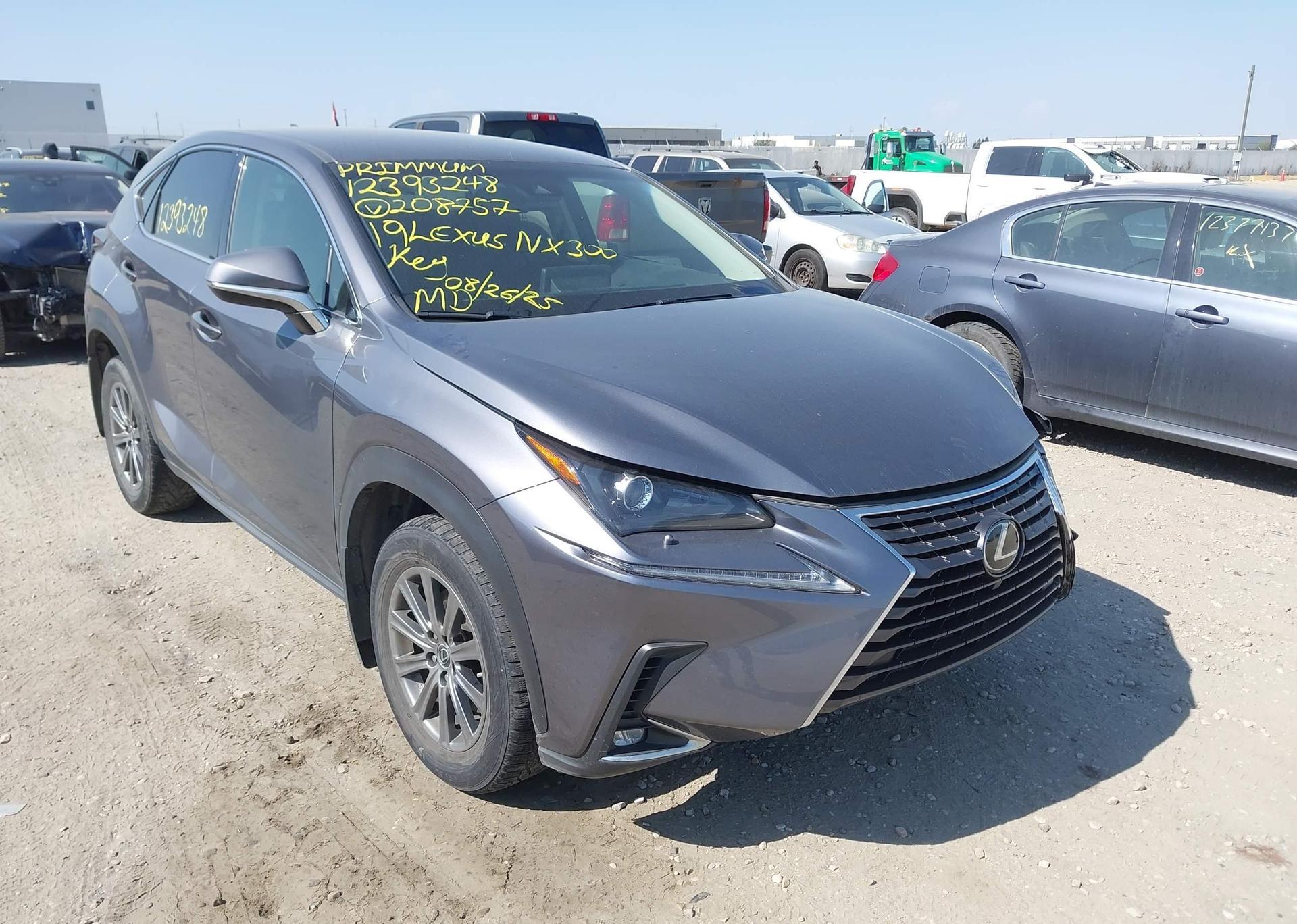 2019 LEXUS NX 300