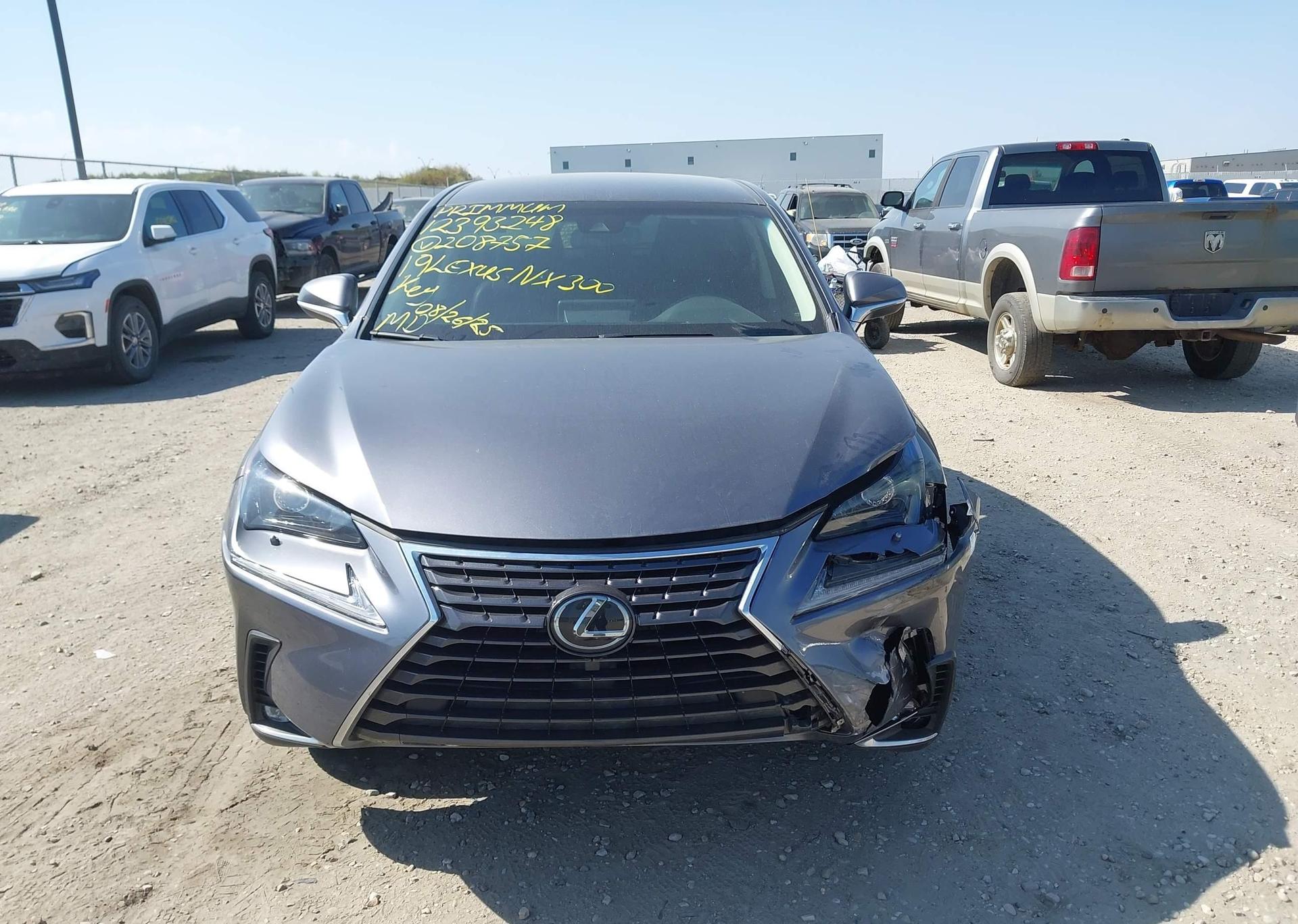 2019 LEXUS NX 300