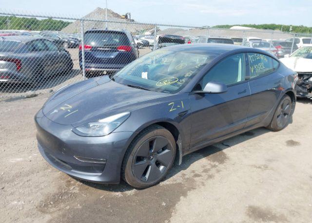 2023 TESLA MODEL 3 RWD