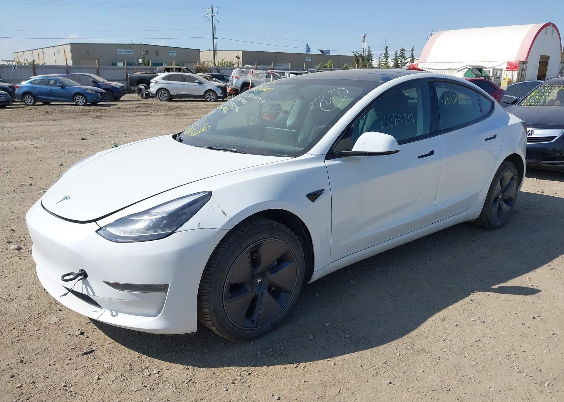2023 TESLA MODEL 3 RWD