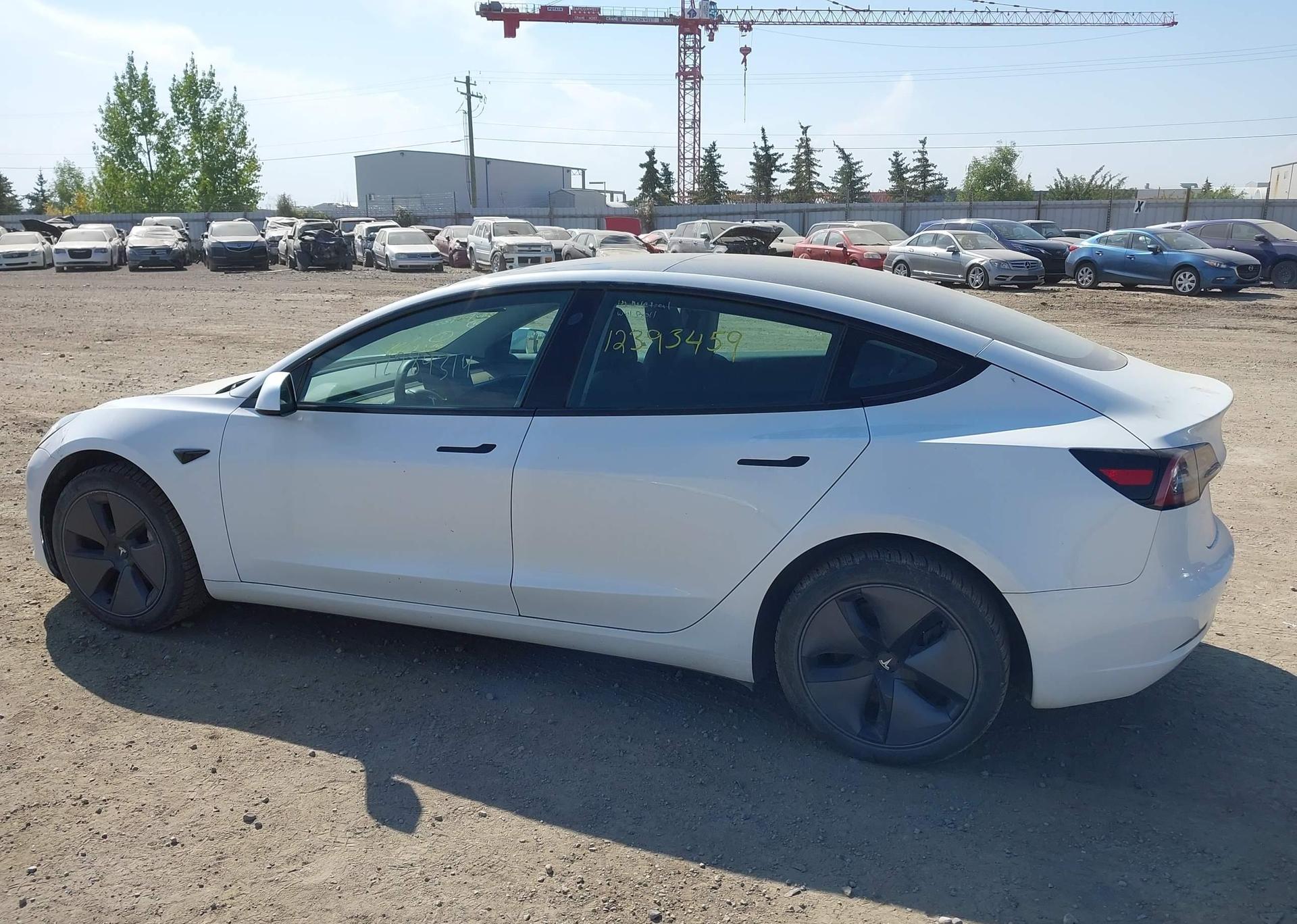 2023 TESLA MODEL 3 RWD