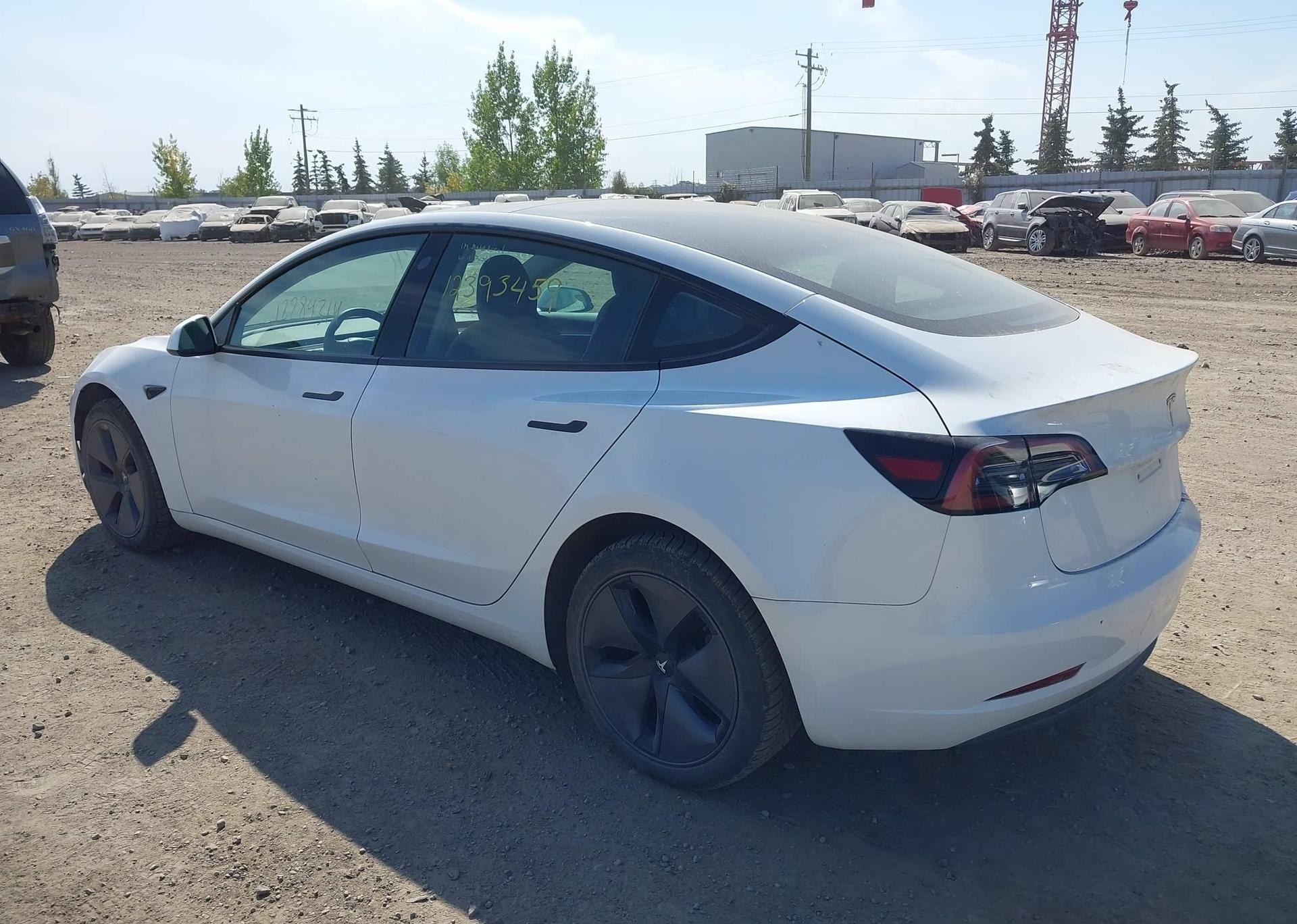 2023 TESLA MODEL 3 RWD