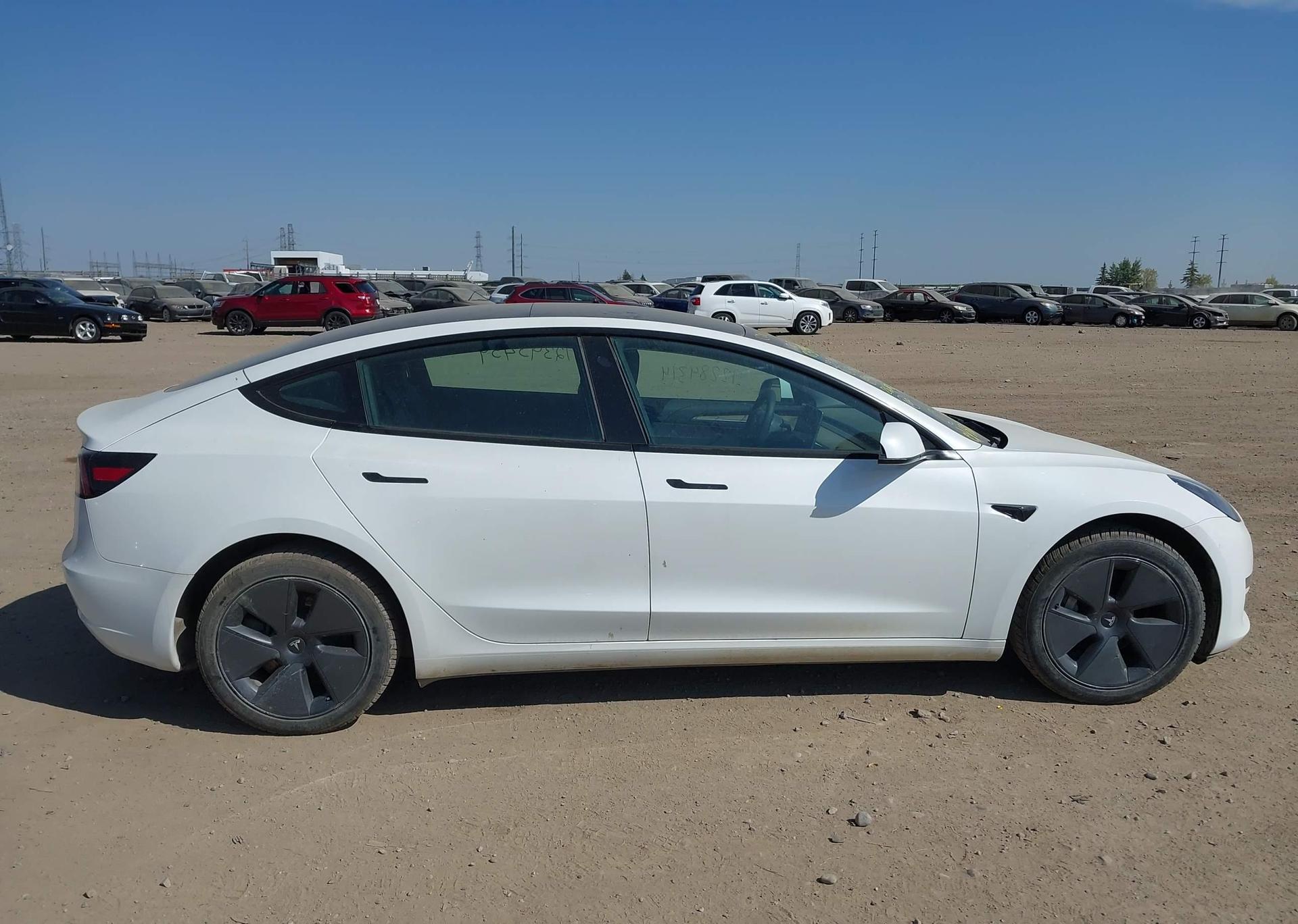 2023 TESLA MODEL 3 RWD