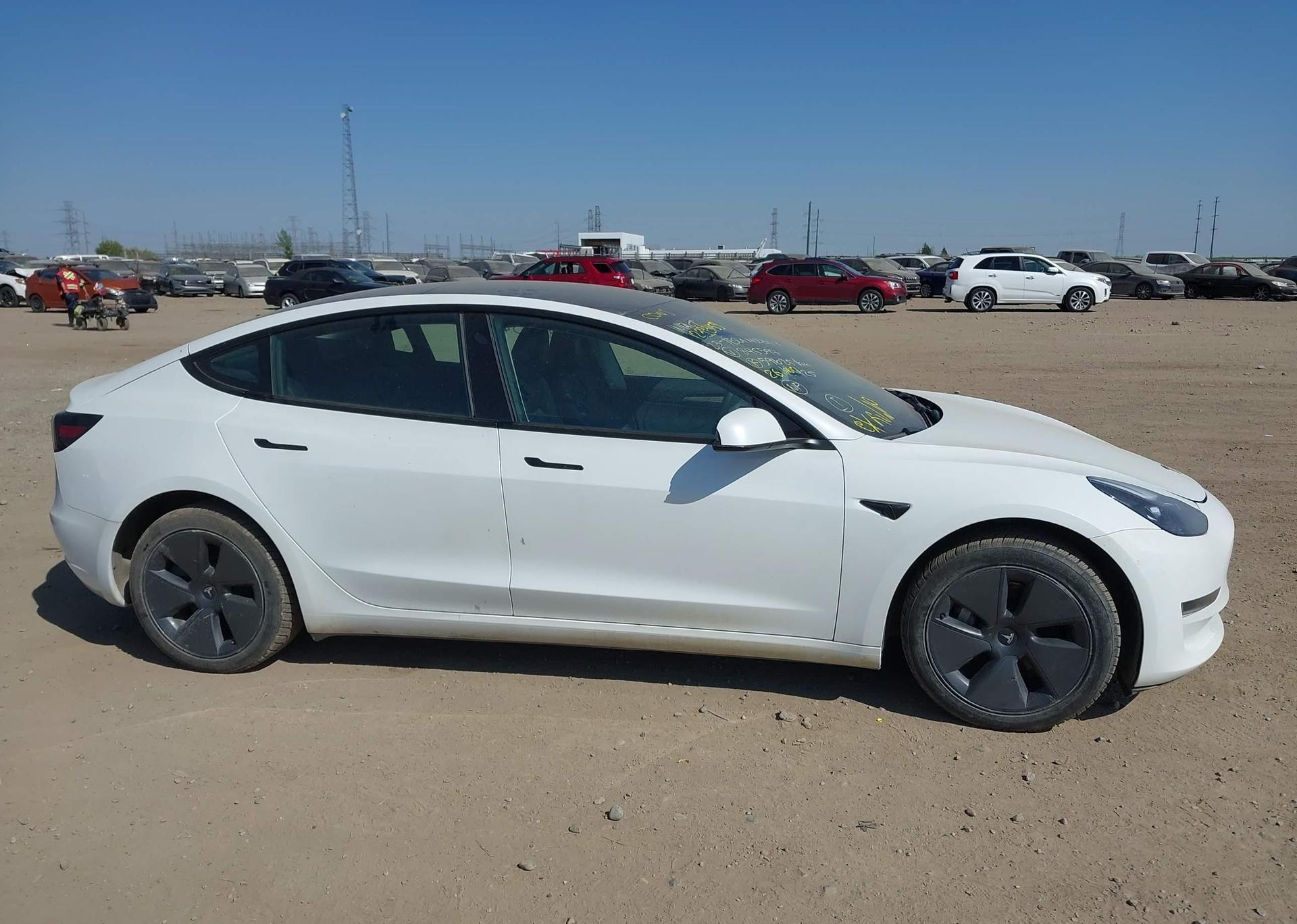 2023 TESLA MODEL 3 RWD