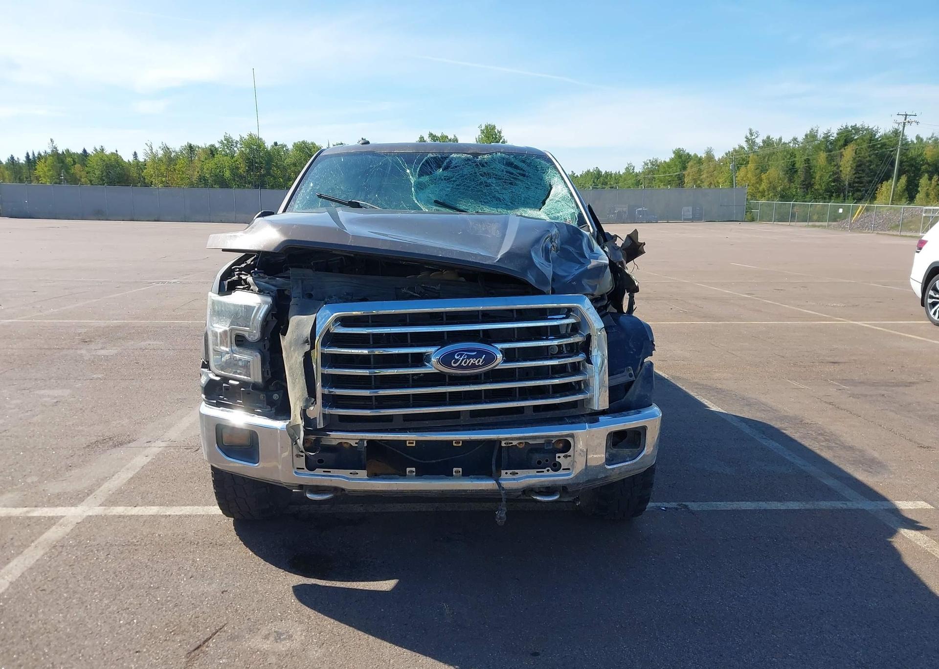 2016 FORD F-150 XLT