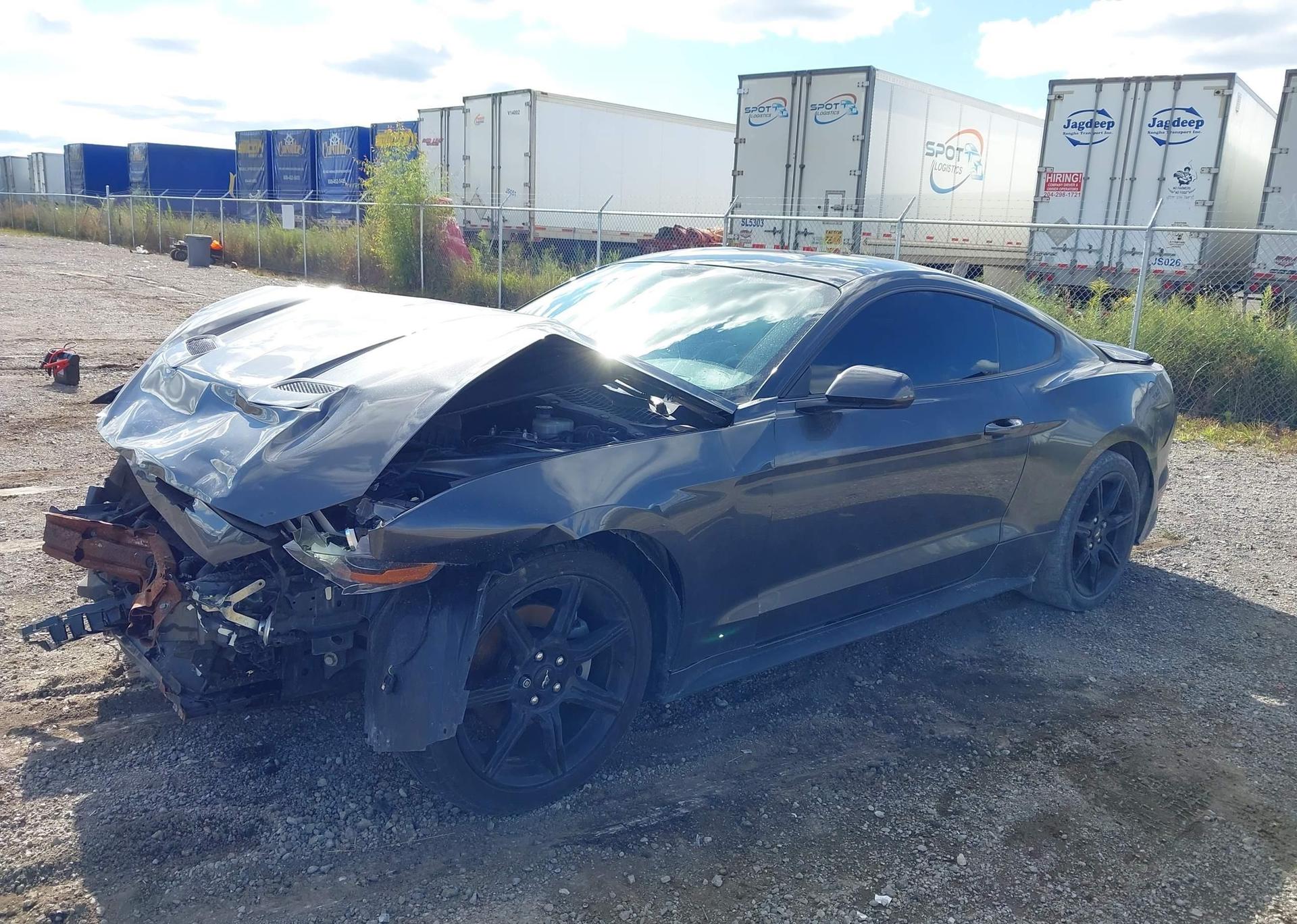 2019 FORD MUSTANG