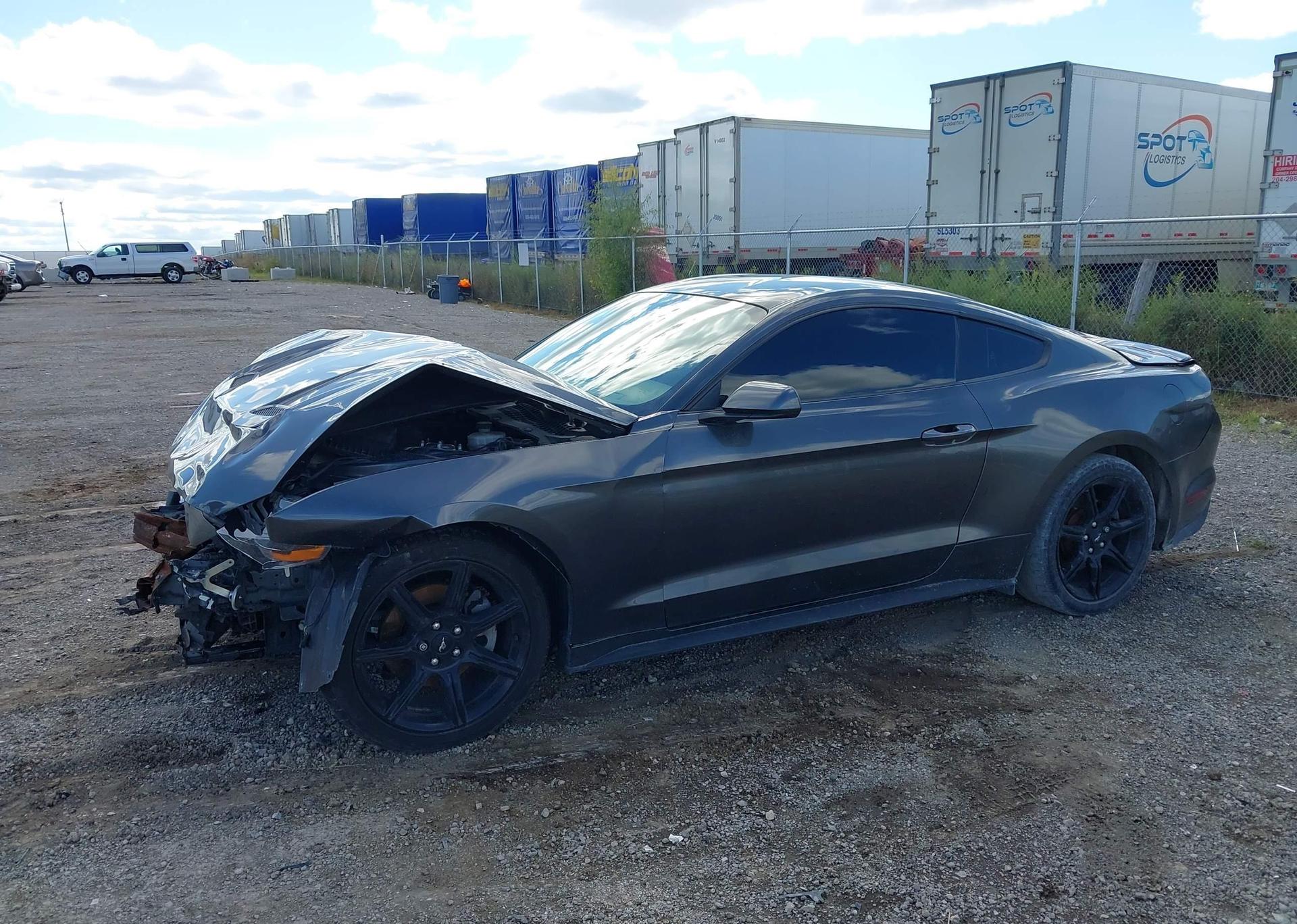 2019 FORD MUSTANG