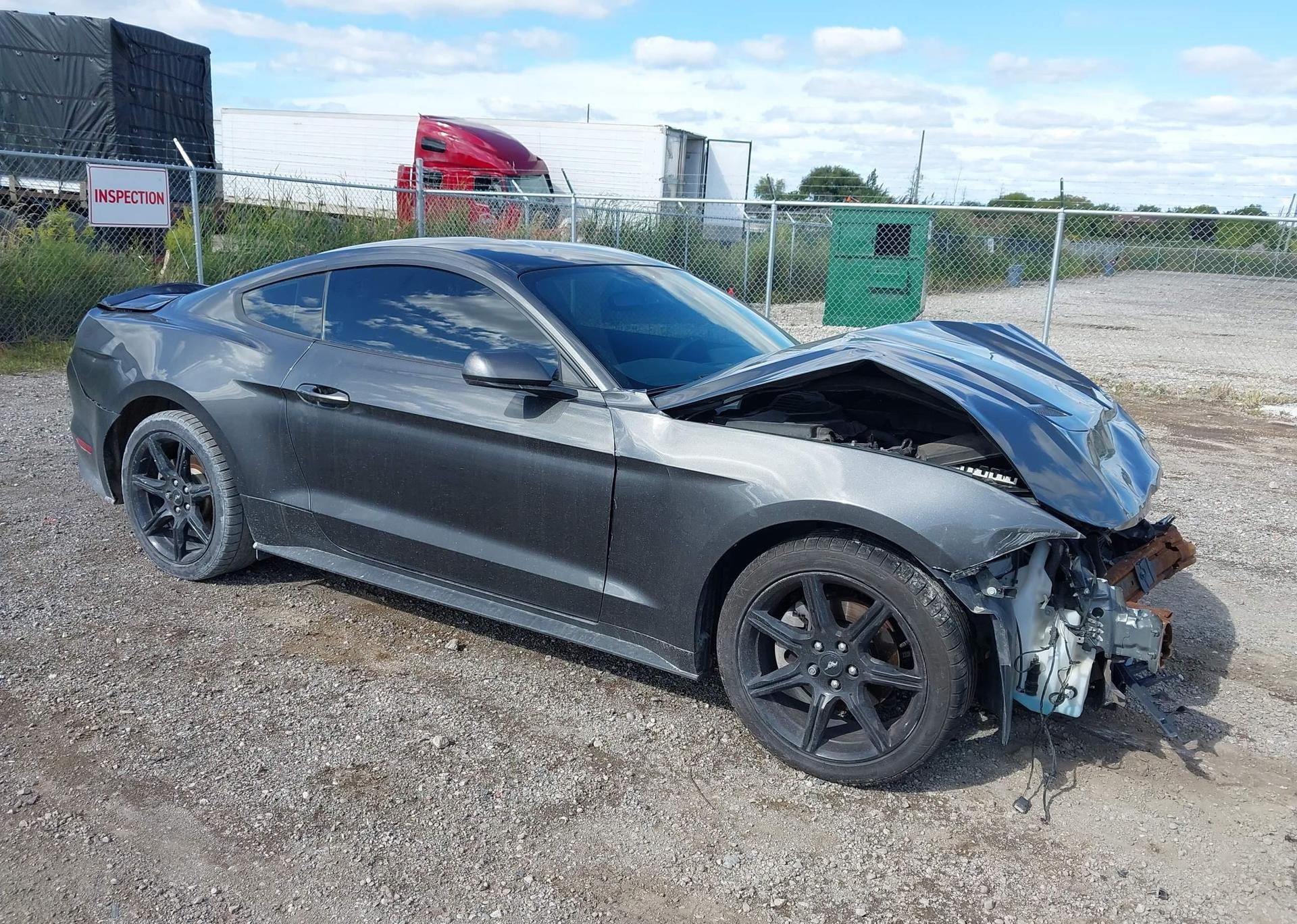 2019 FORD MUSTANG
