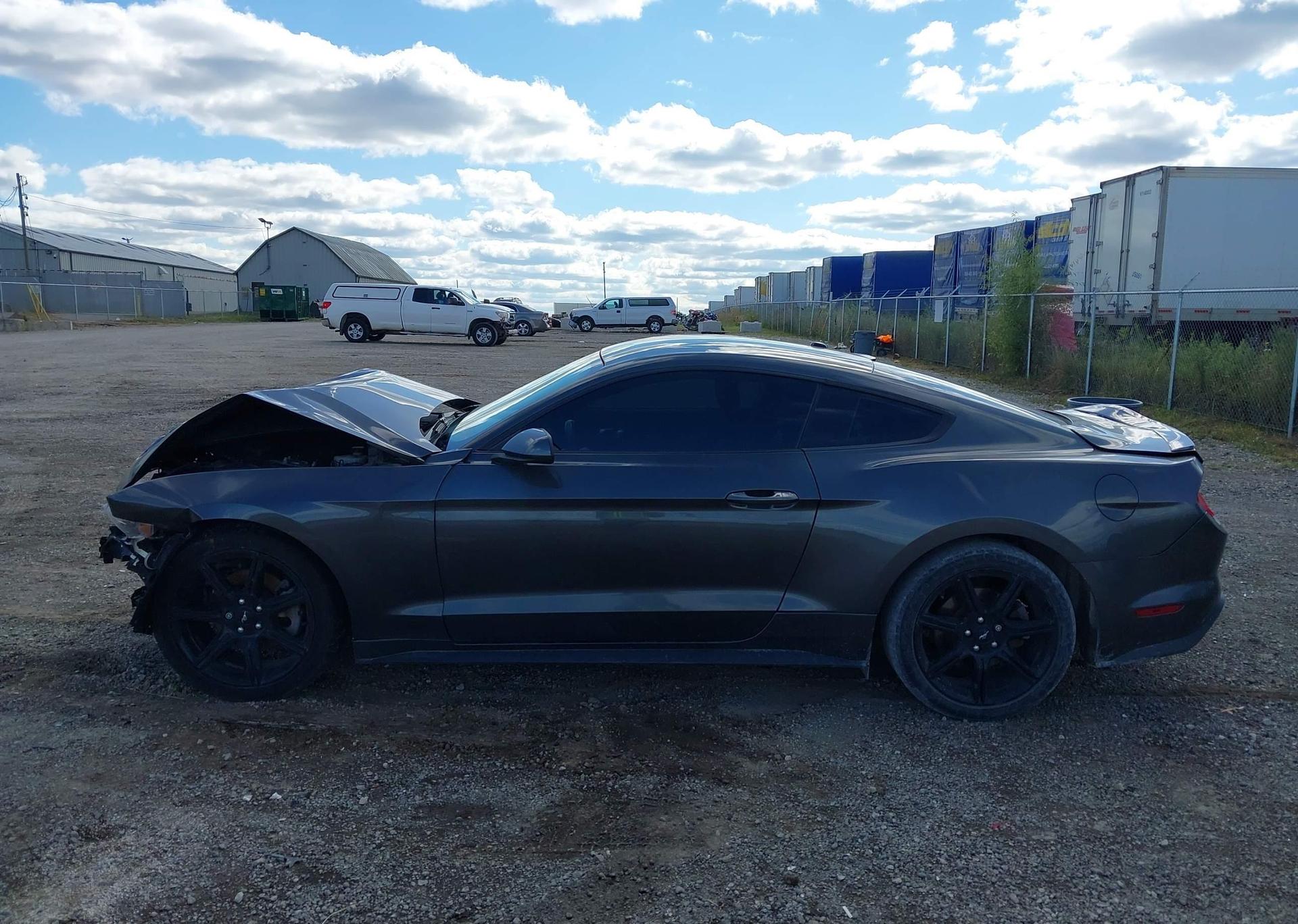 2019 FORD MUSTANG