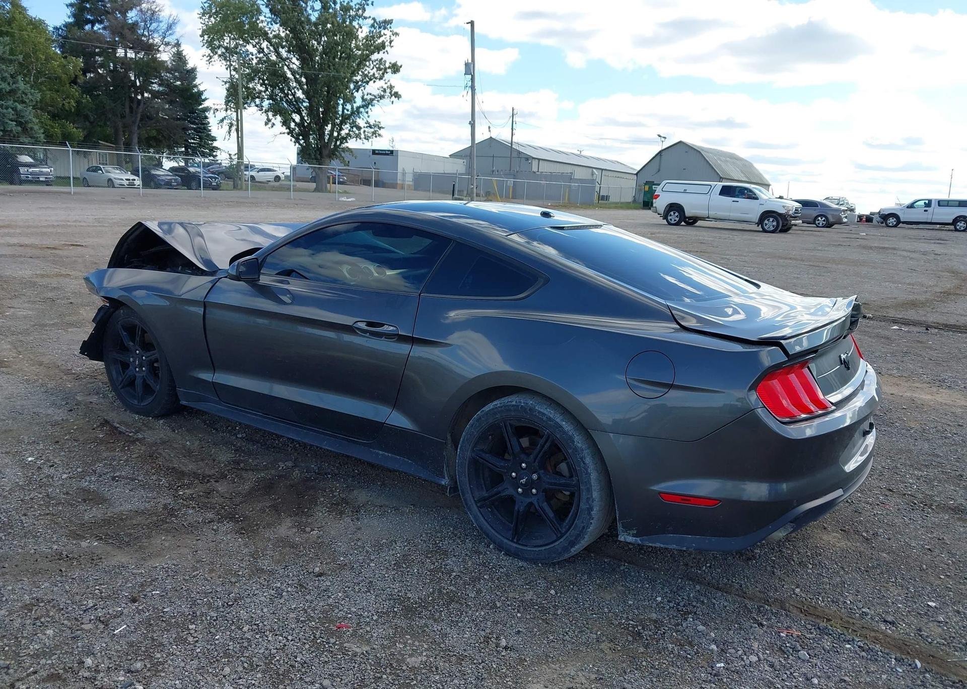 2019 FORD MUSTANG