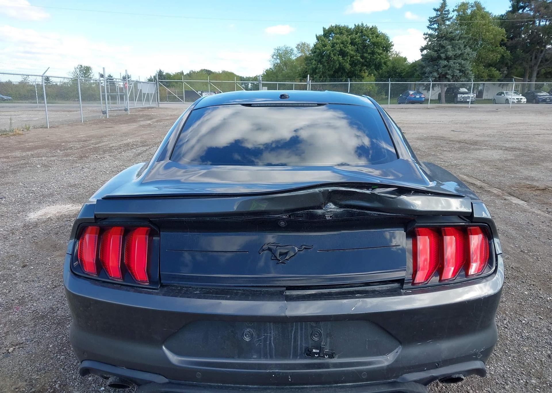 2019 FORD MUSTANG