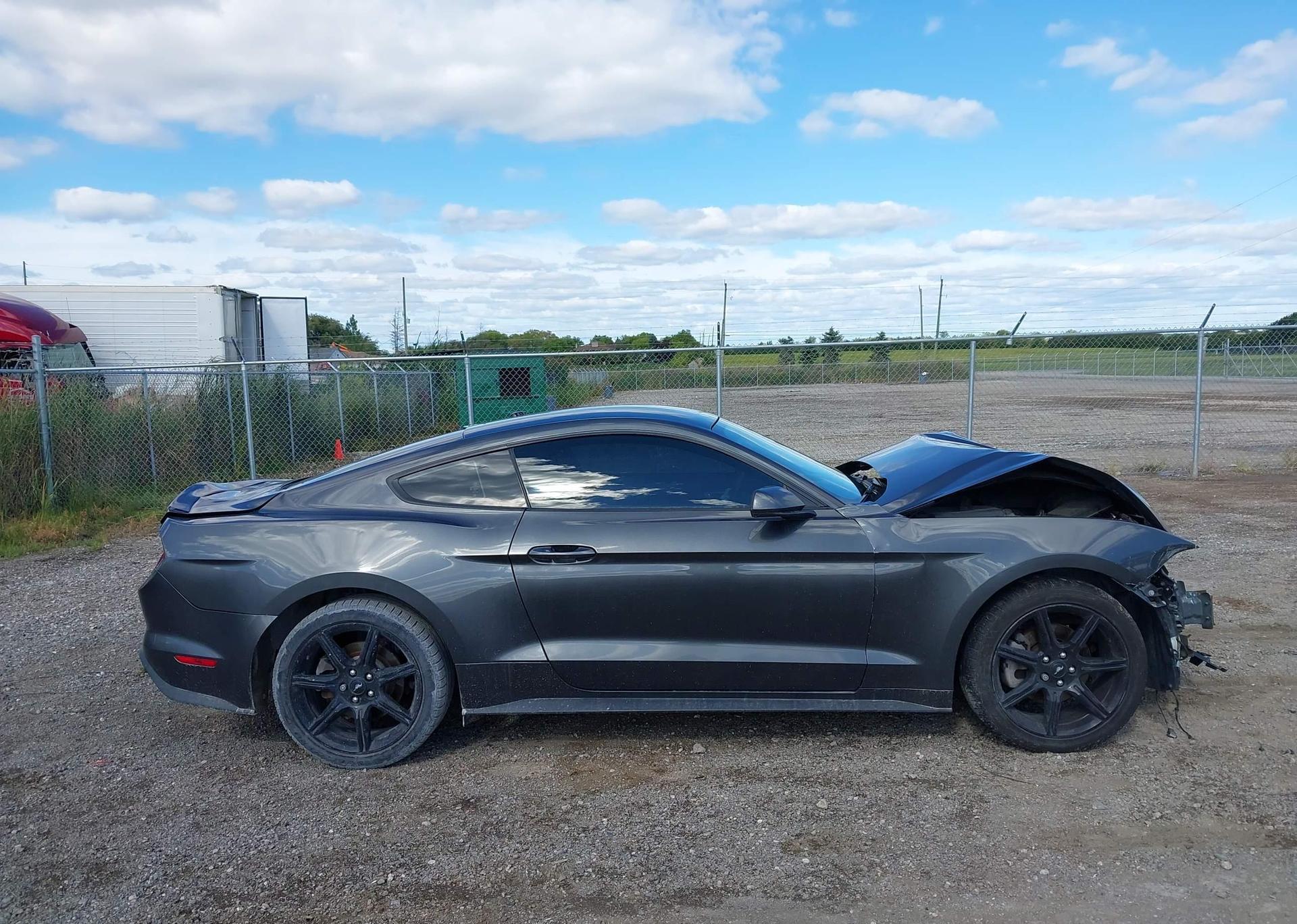 2019 FORD MUSTANG