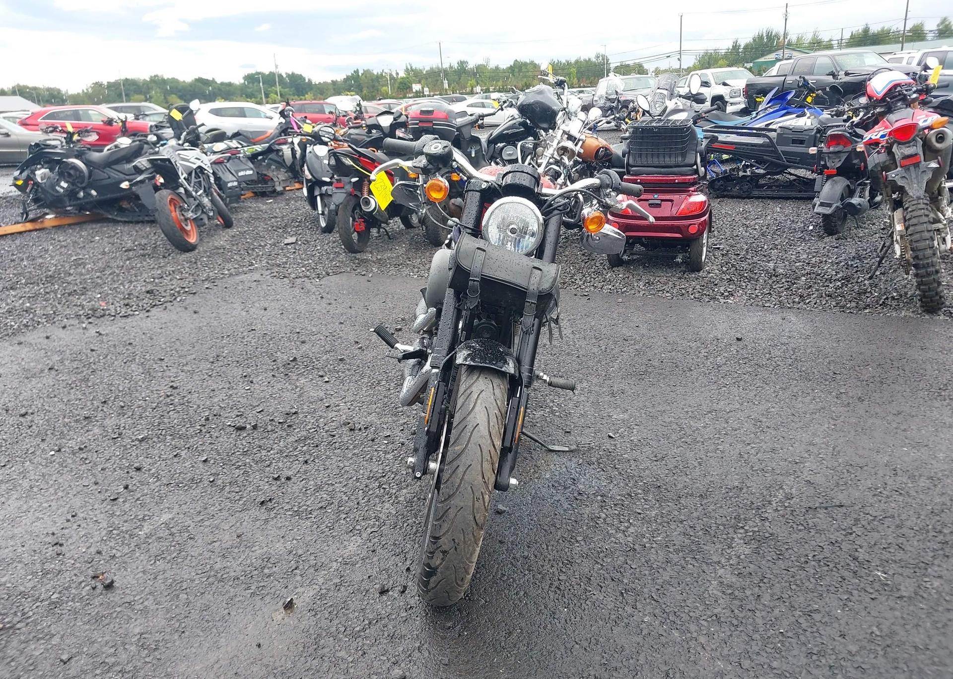 2019 HARLEY-DAVIDSON XL1200 CX