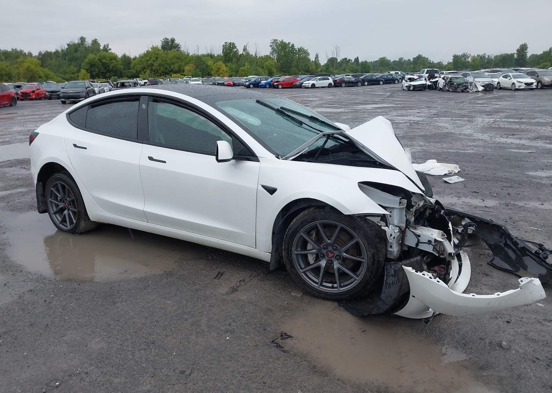 2021 TESLA MODEL 3 STANDARD RANGE
