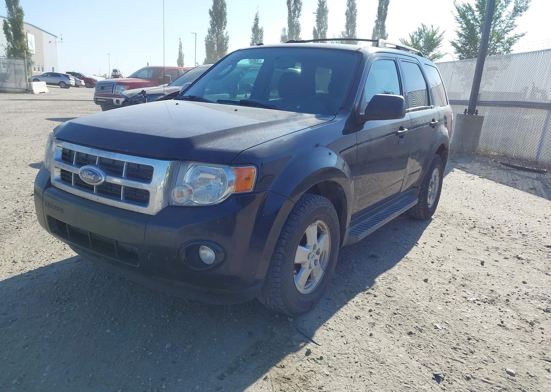 2009 FORD ESCAPE XLT