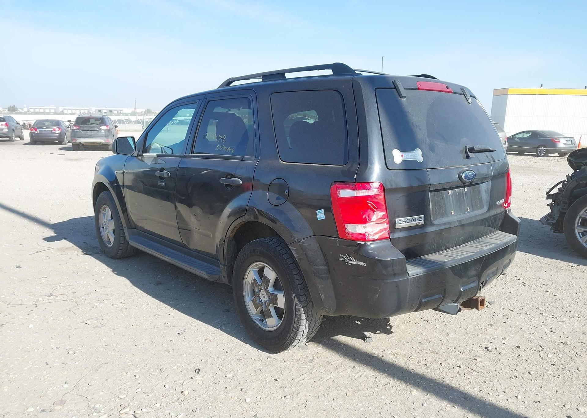 2009 FORD ESCAPE XLT
