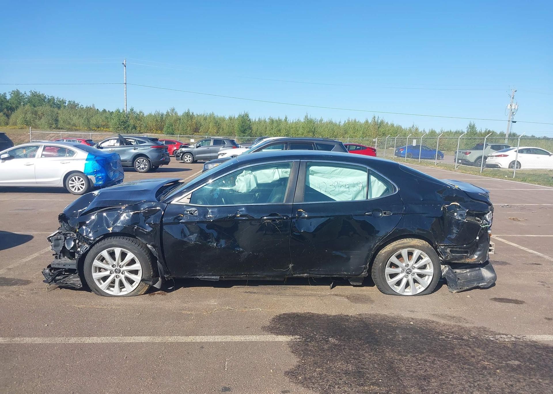 2019 TOYOTA CAMRY L