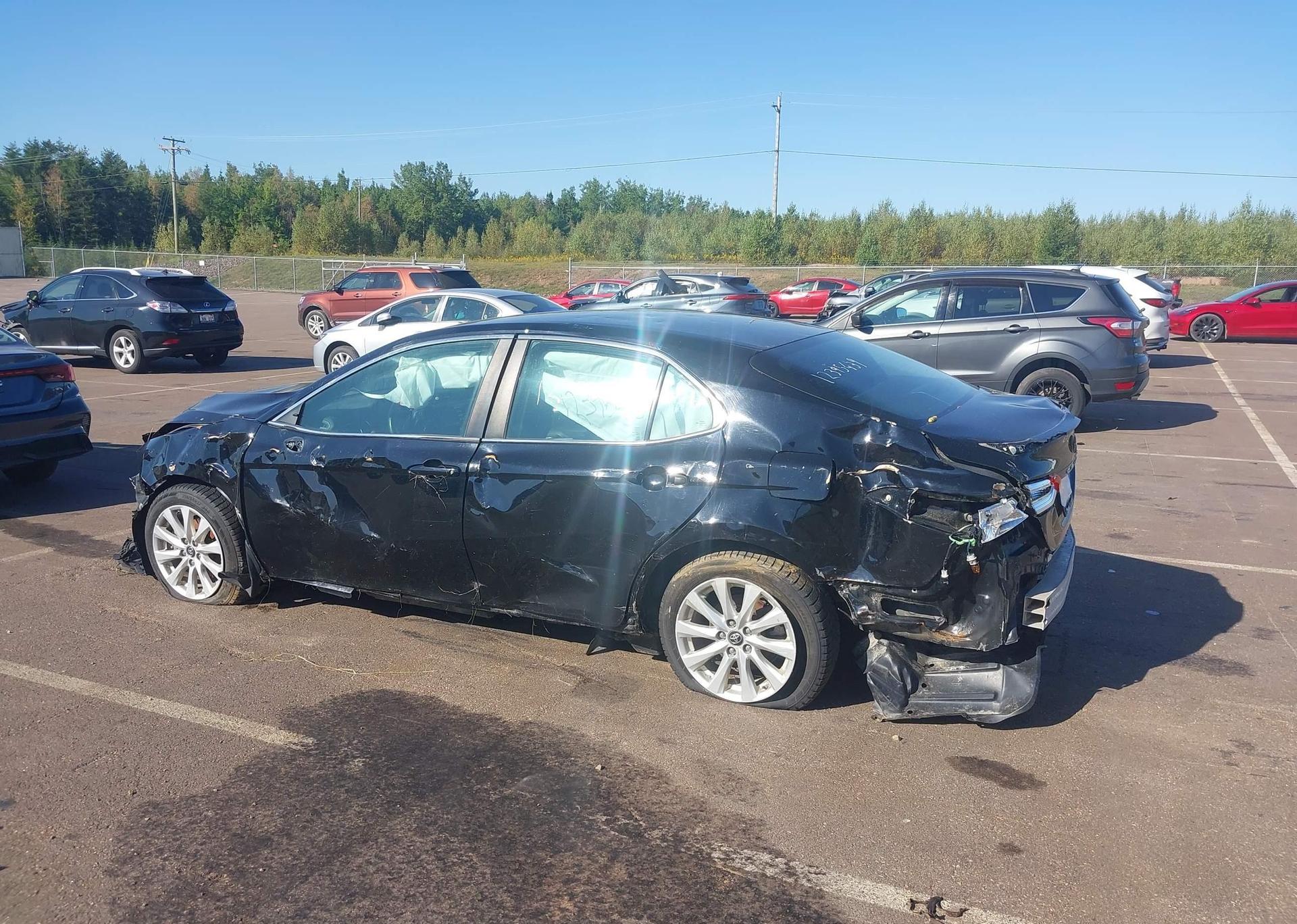 2019 TOYOTA CAMRY L