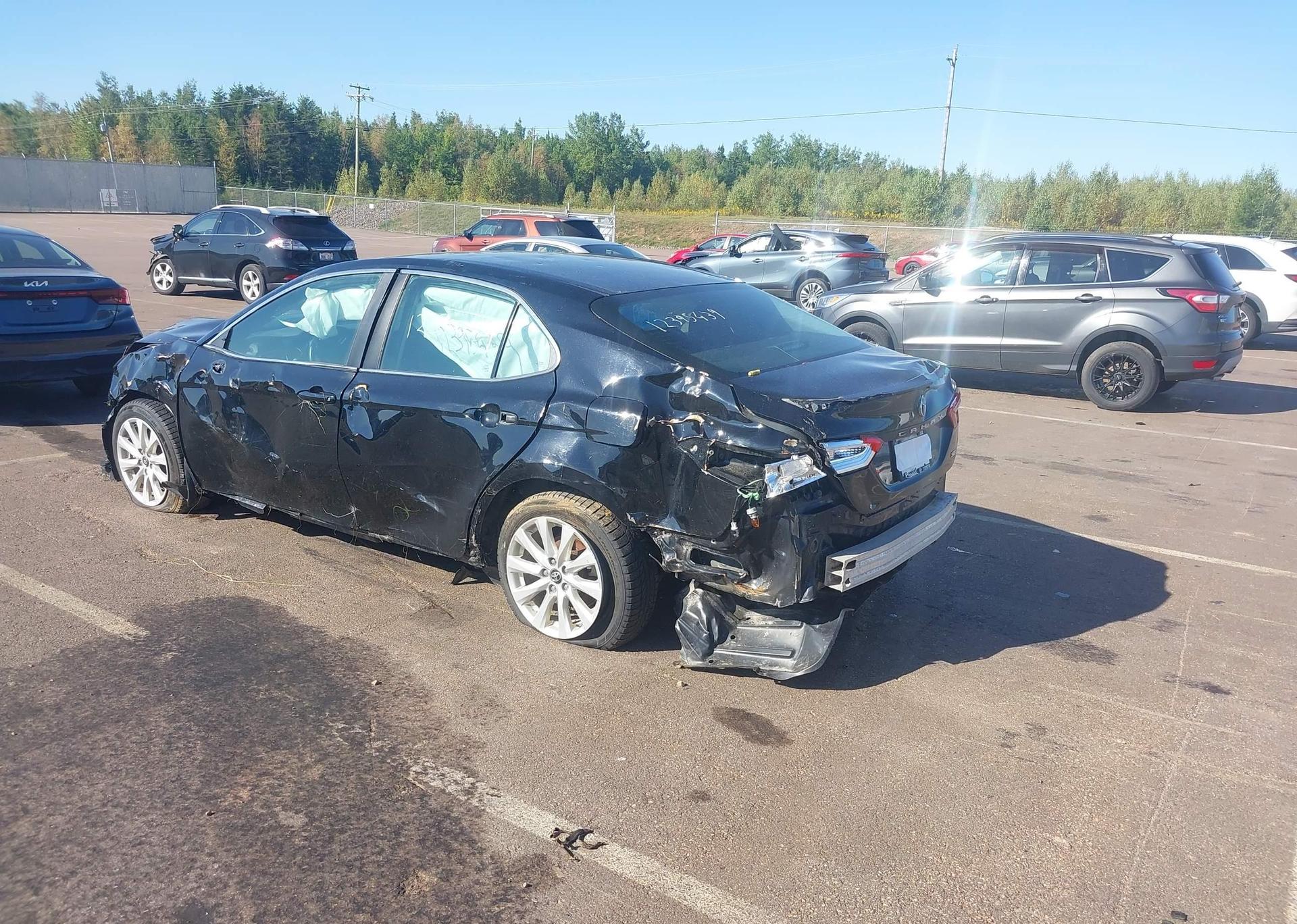 2019 TOYOTA CAMRY L