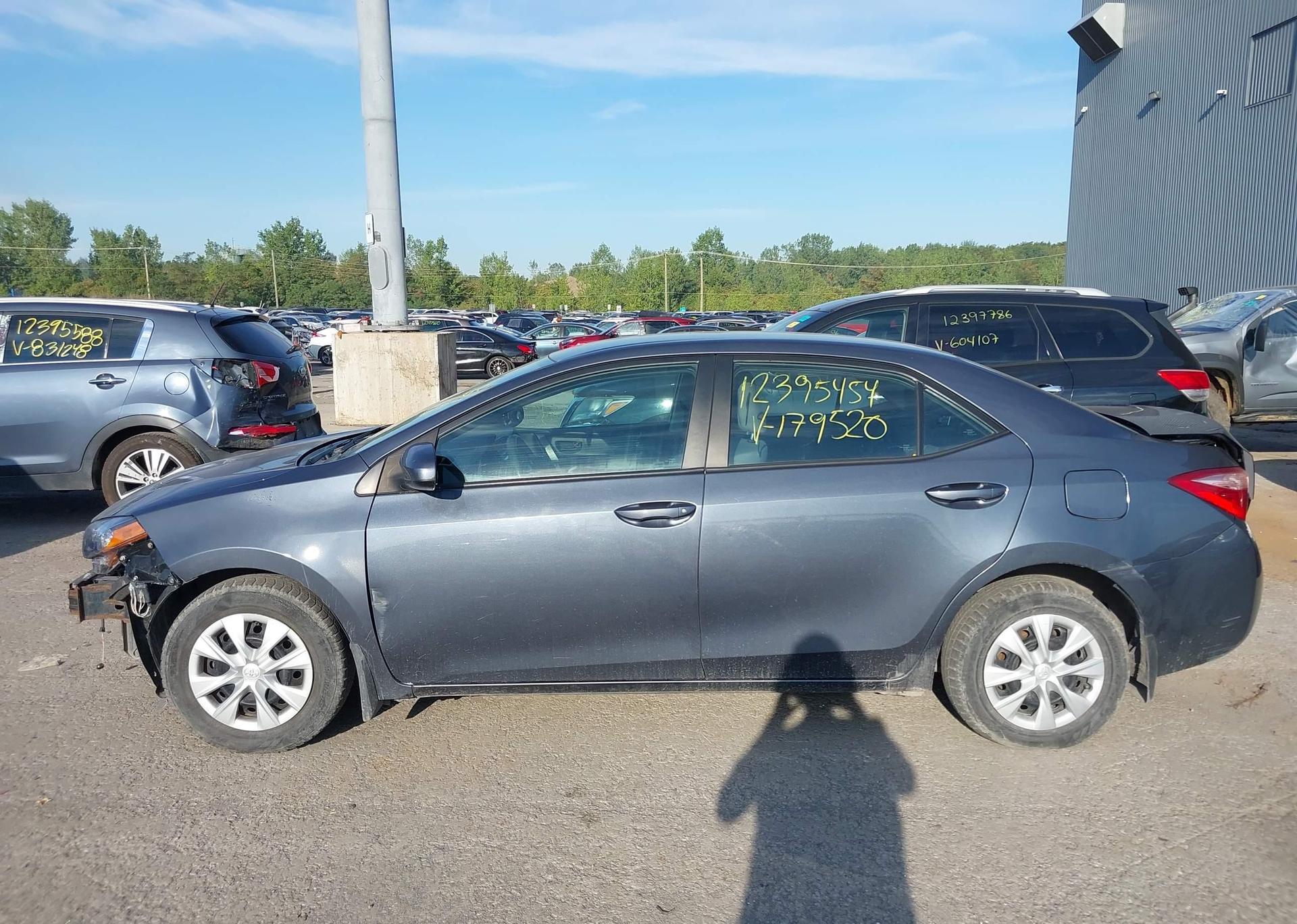 2019 TOYOTA COROLLA