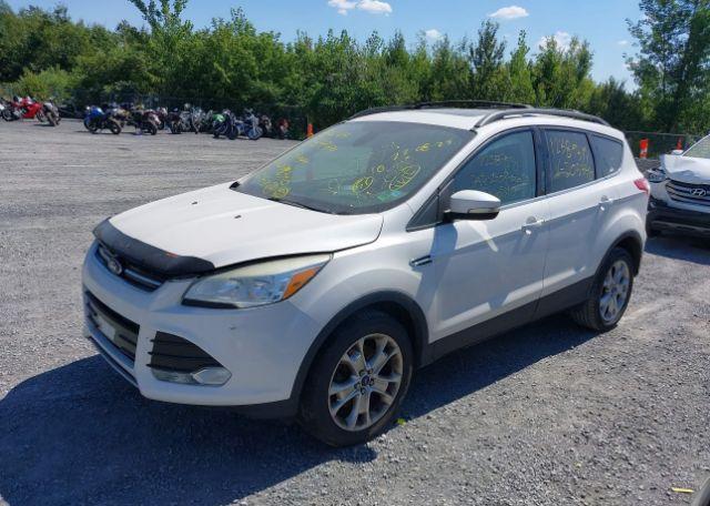 2013 FORD ESCAPE SEL