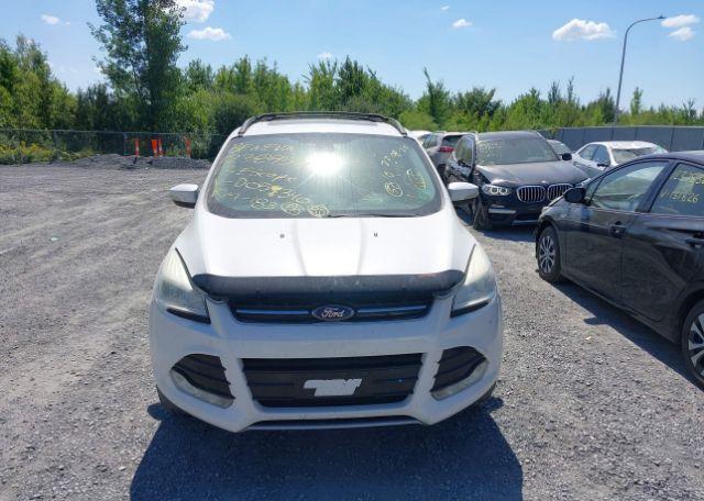 2013 FORD ESCAPE SEL