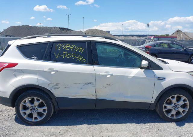 2013 FORD ESCAPE SEL