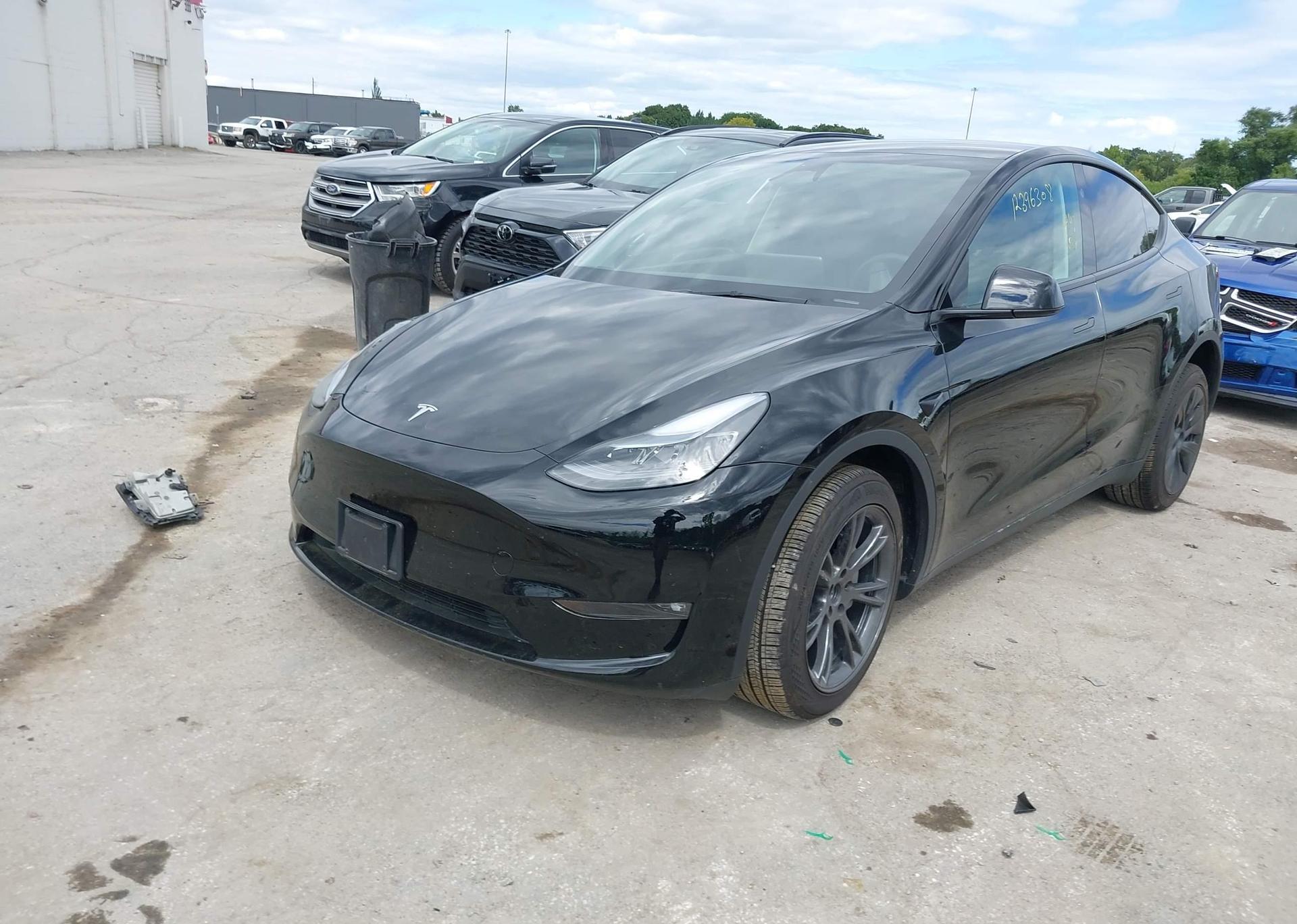 2025 TESLA MODEL Y